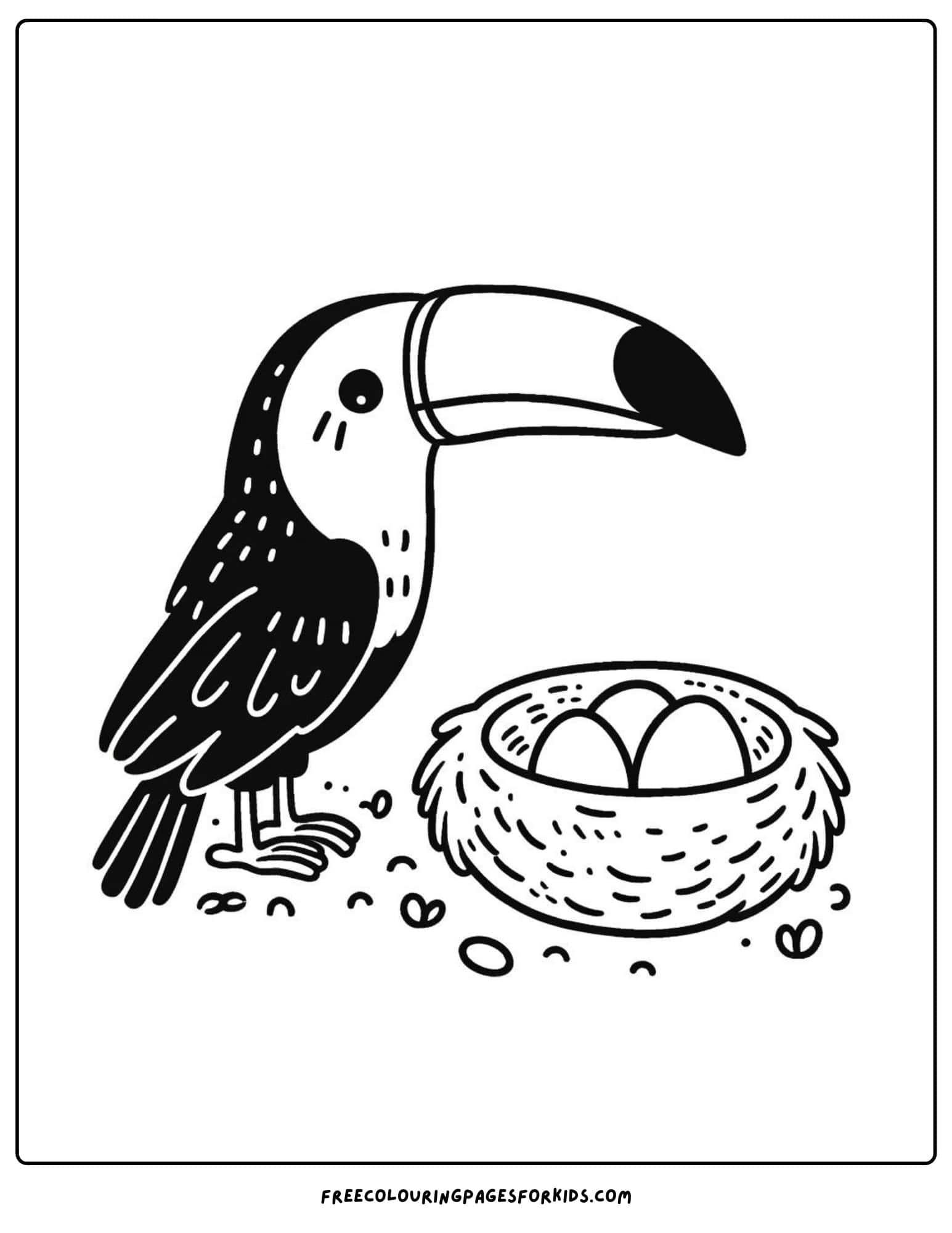 toucan with a nest coloring page