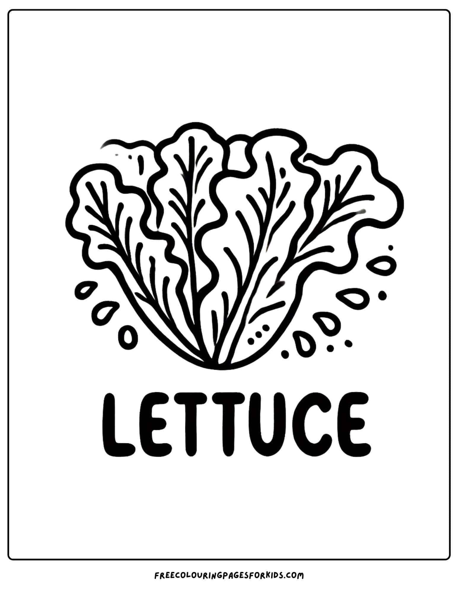 vegetable lettuce coloring page