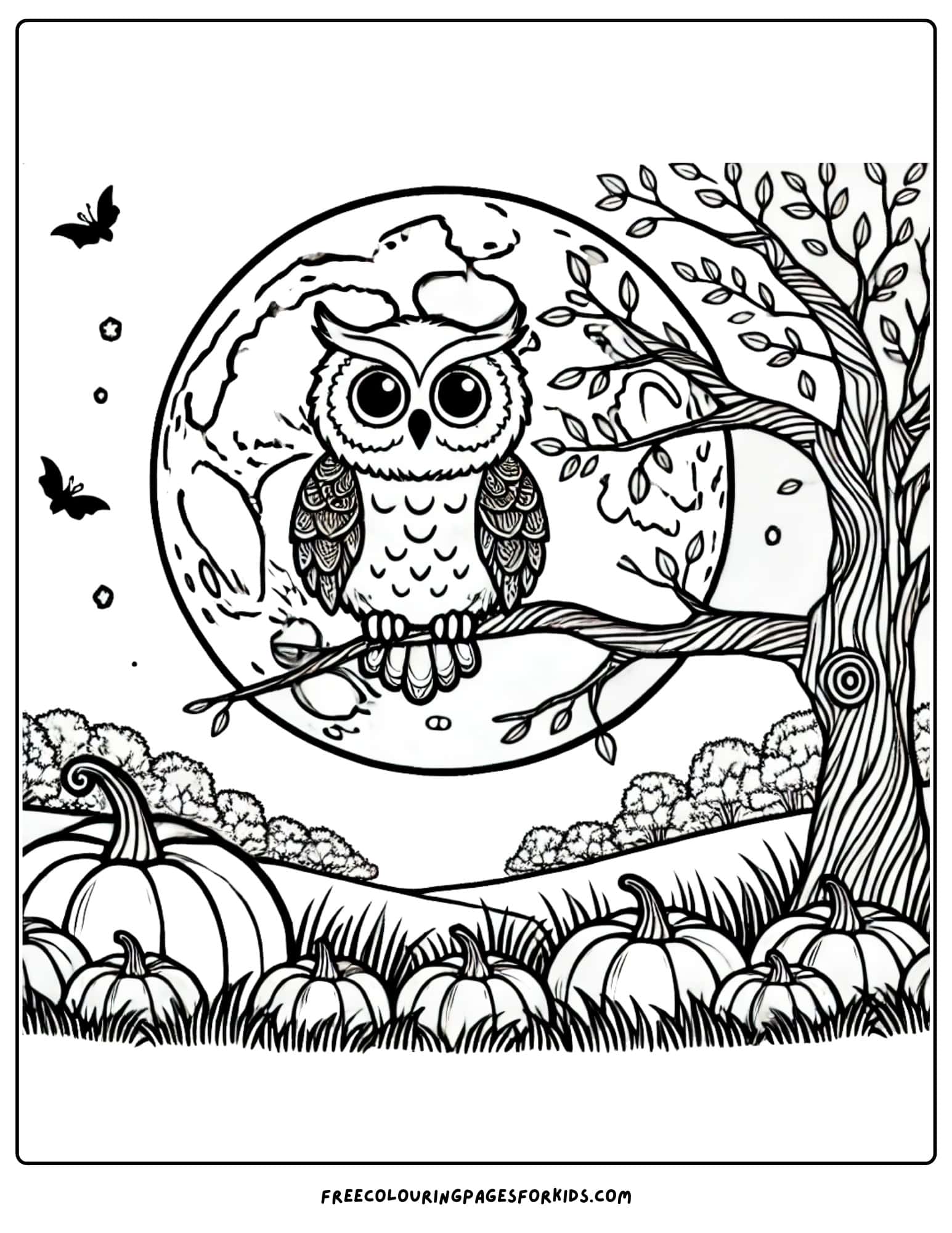 fall owl in a tree coloring page