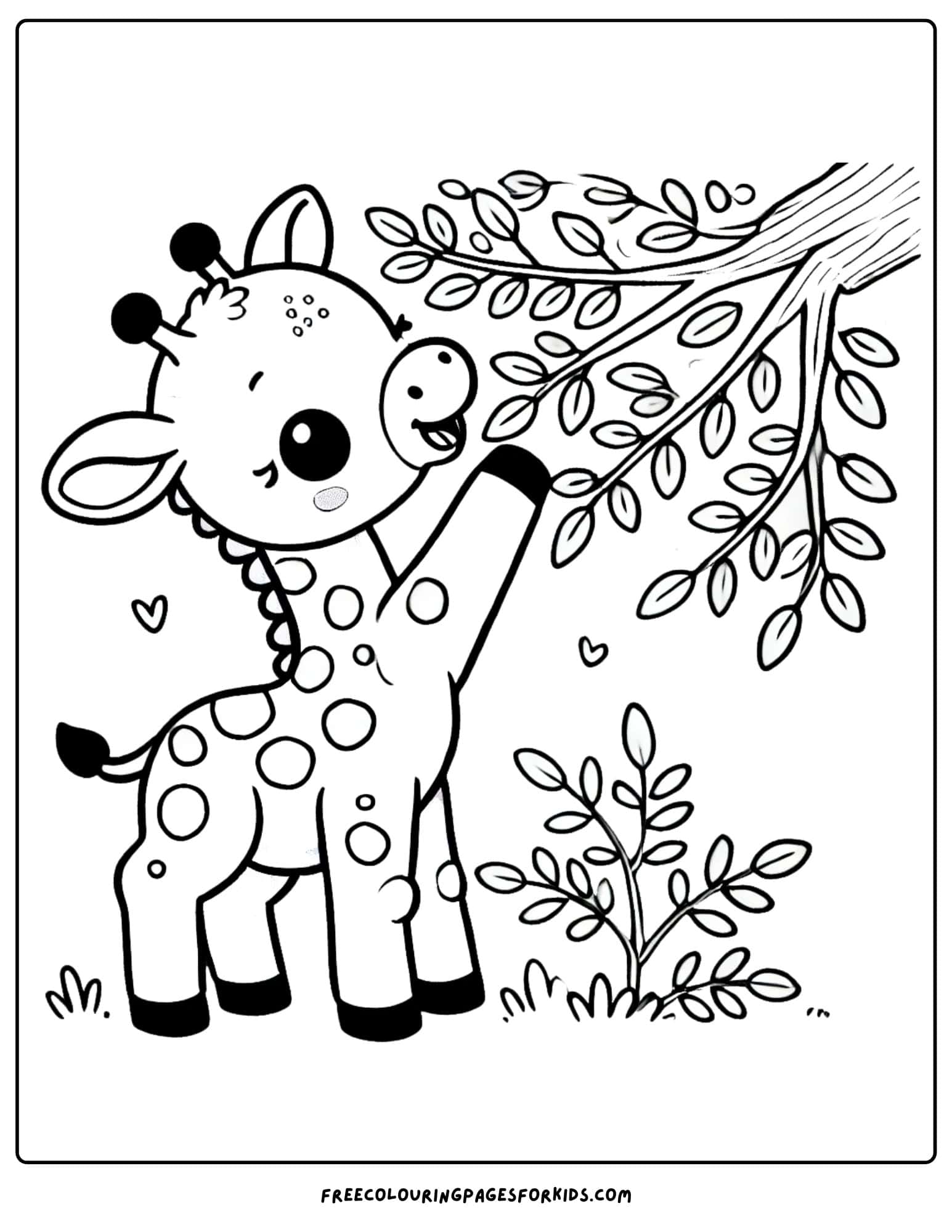 giraffe eating leaves coloring page