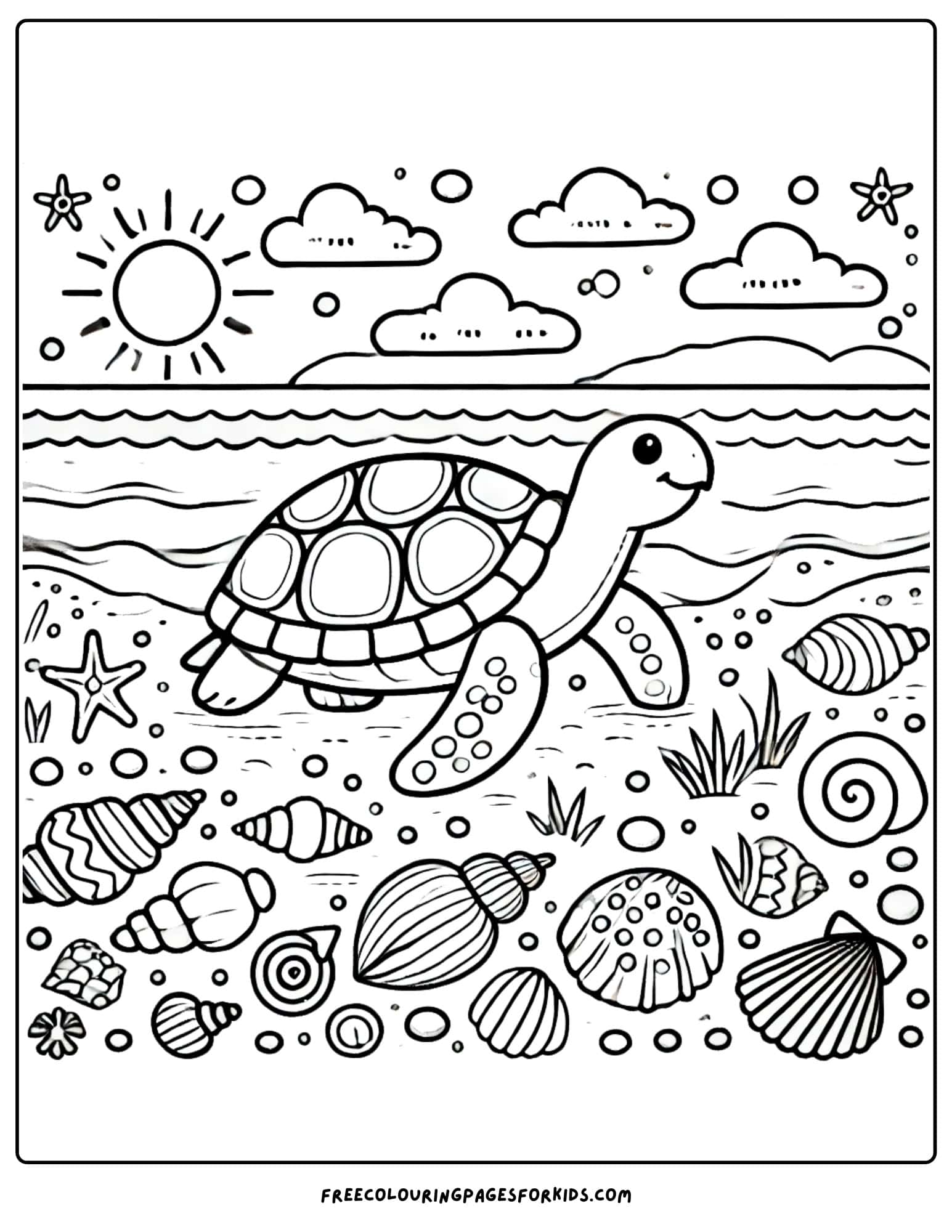 turtle and seashells coloring page