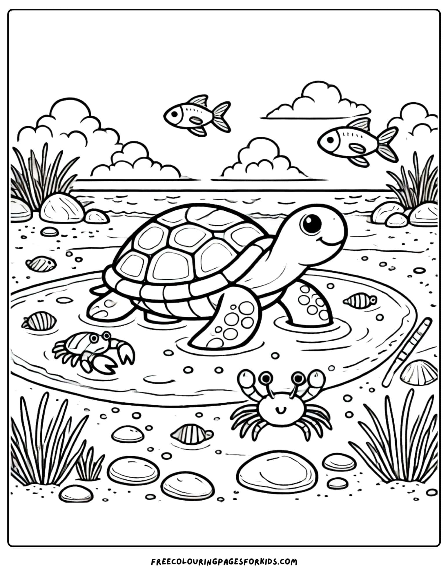 turtle in a tide pool coloring page