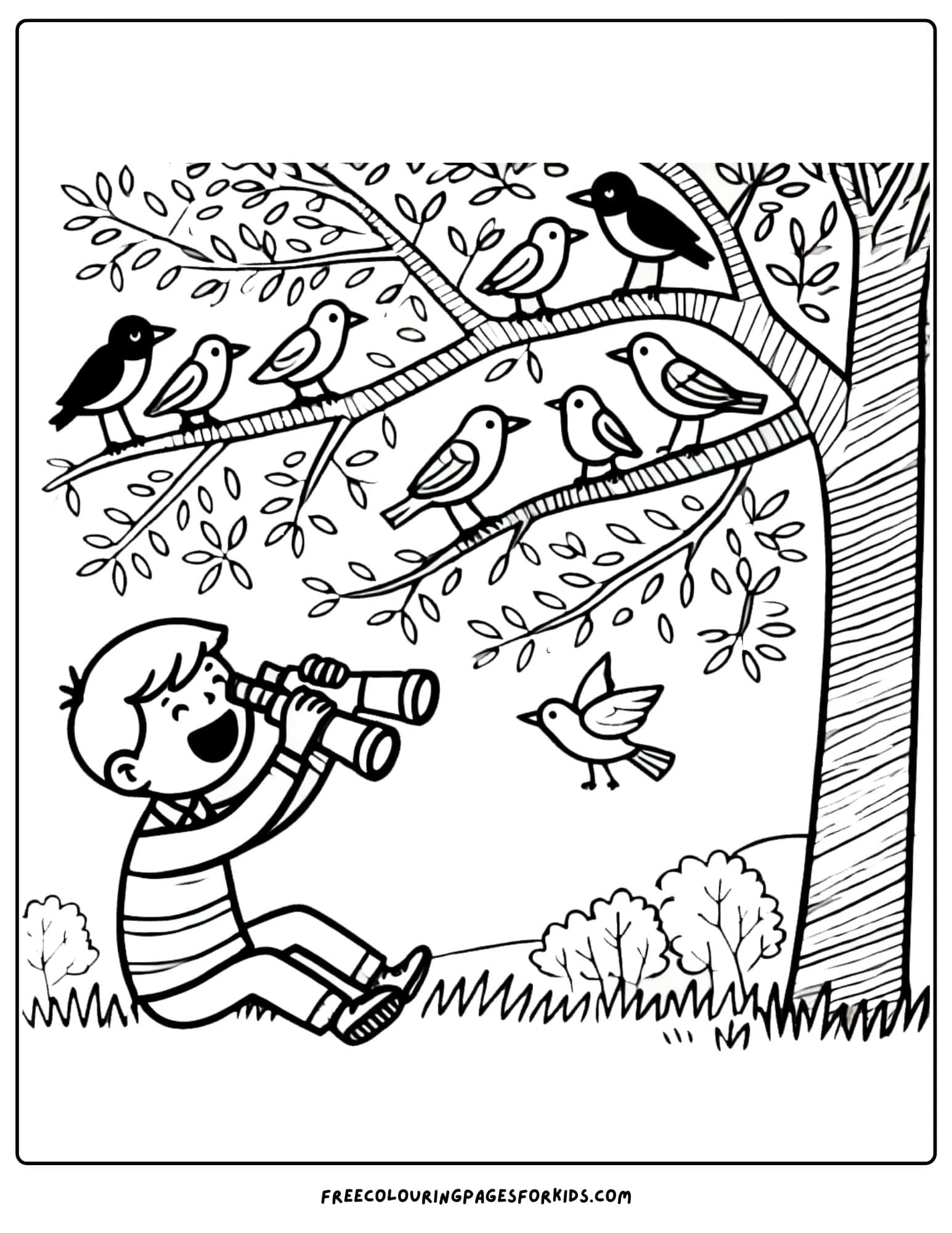 camping and birdwatcing coloring page