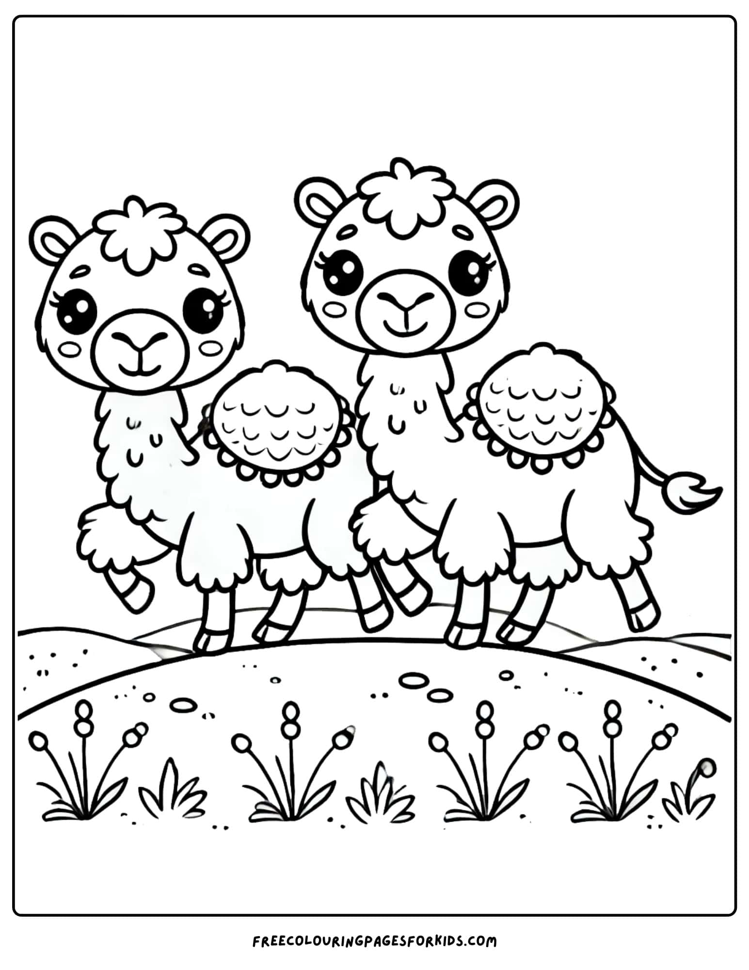 desert with two camels walking coloring page