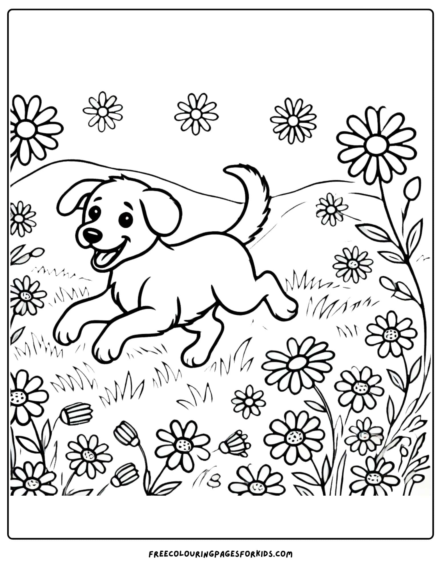 dog in a field of flowers coloring page