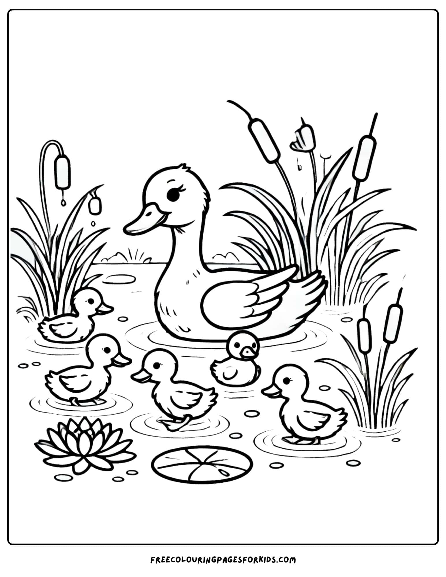 duck family in a pond coloring page