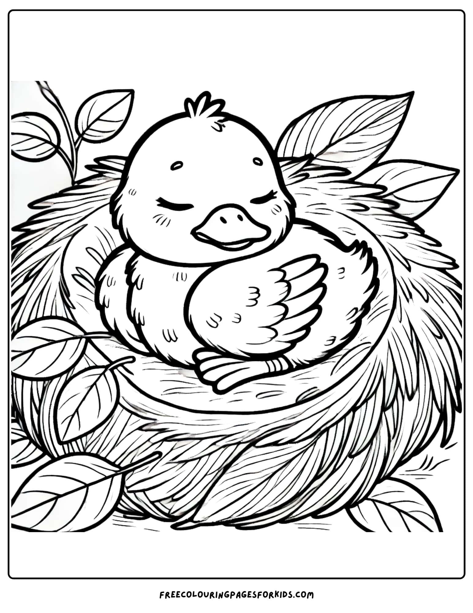 duck in a cosy nest coloring page