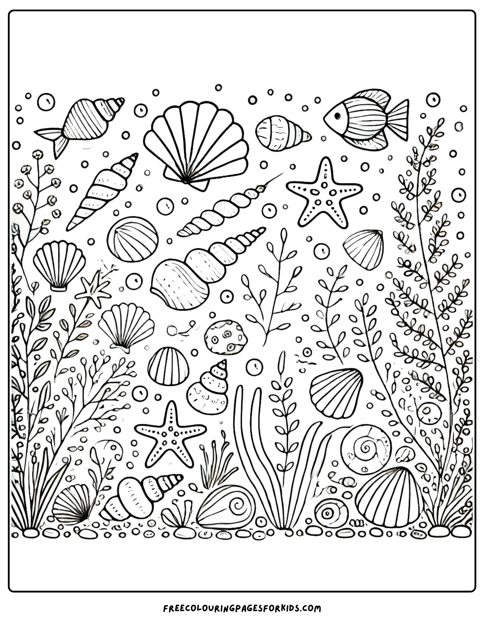 shell collection coloring page