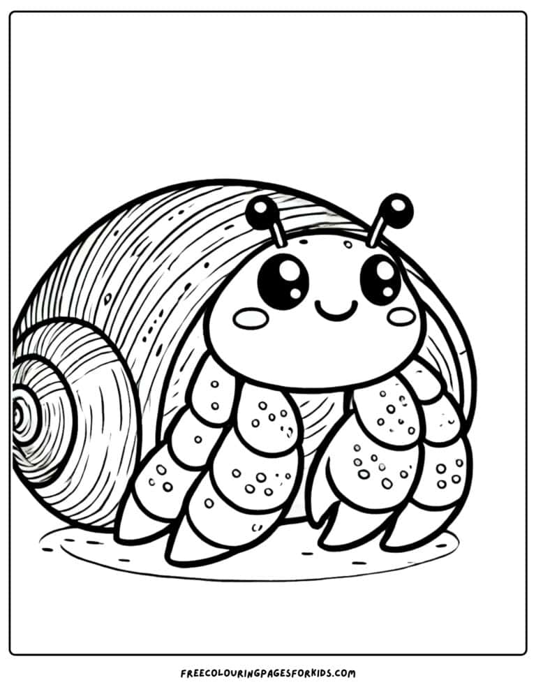 31 Shell Coloring Pages