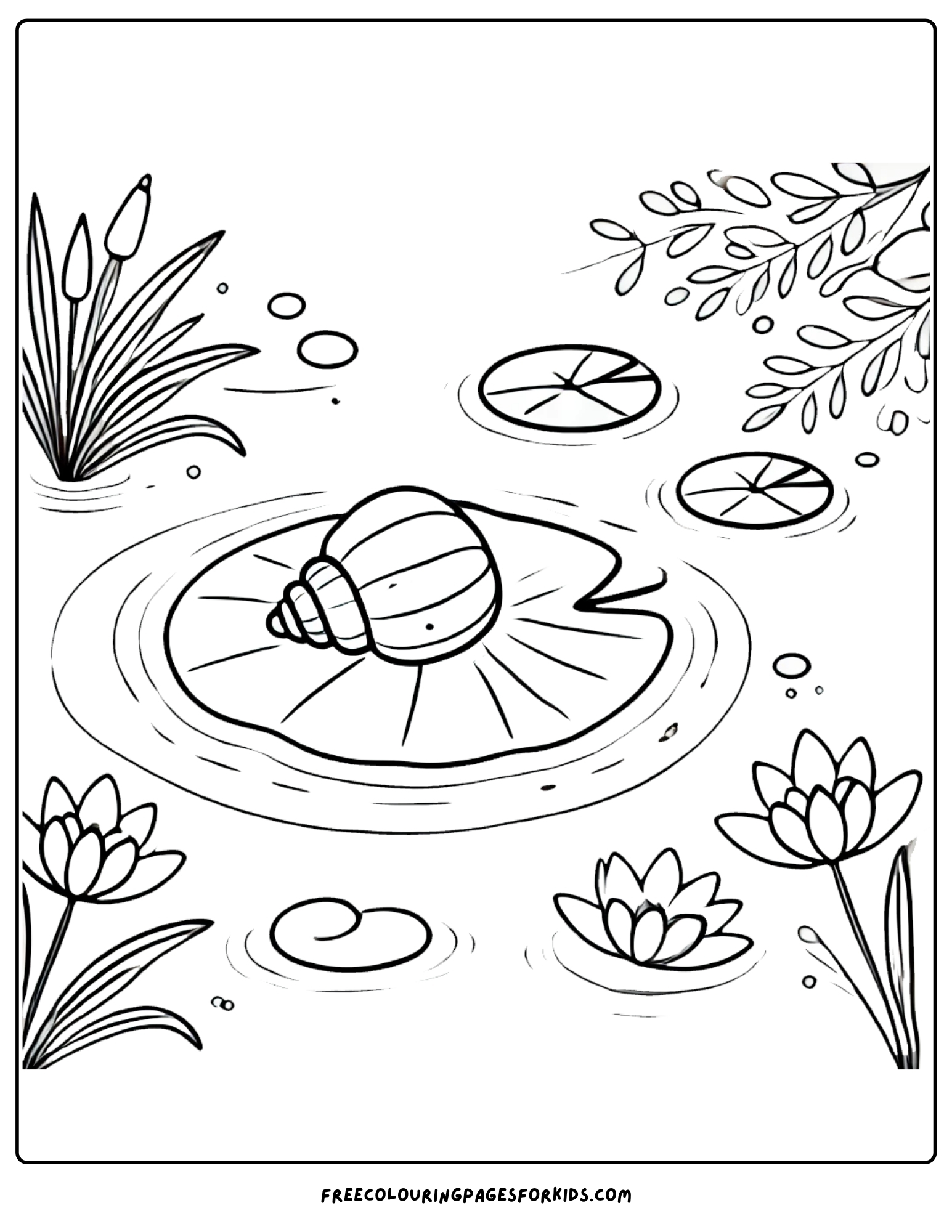 shell in a pond coloring page