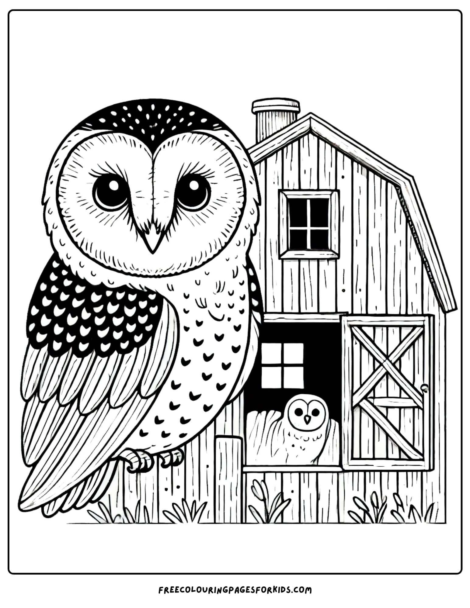 bird barn owl at a barn coloring page