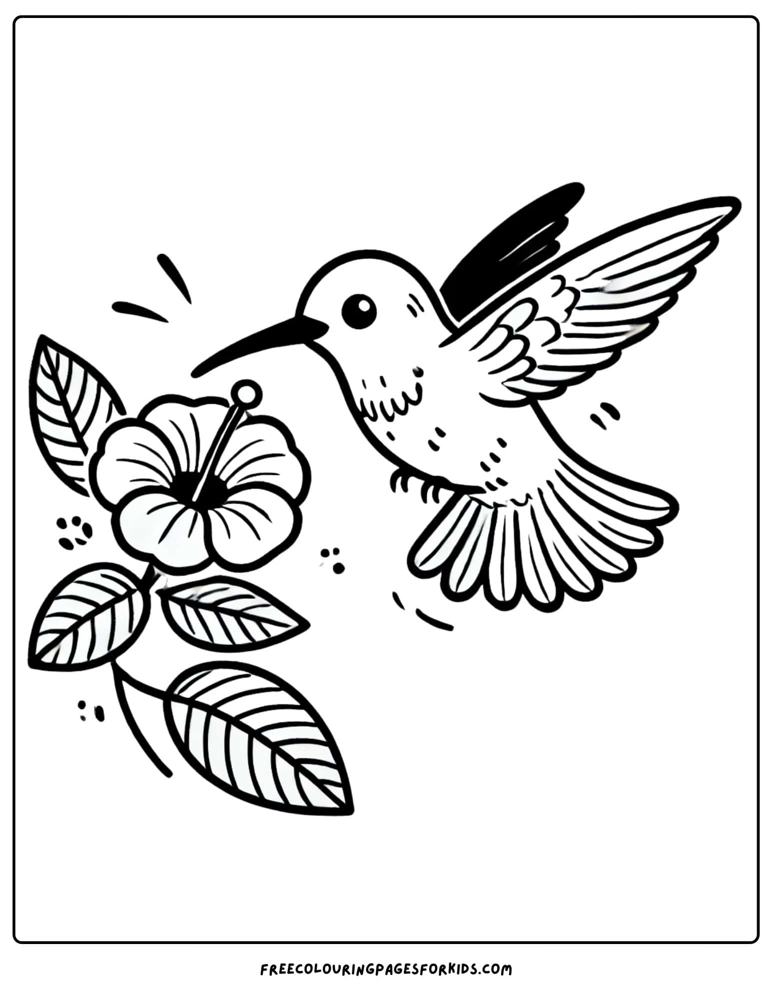 bird hummingbird hovering above a flower coloring page