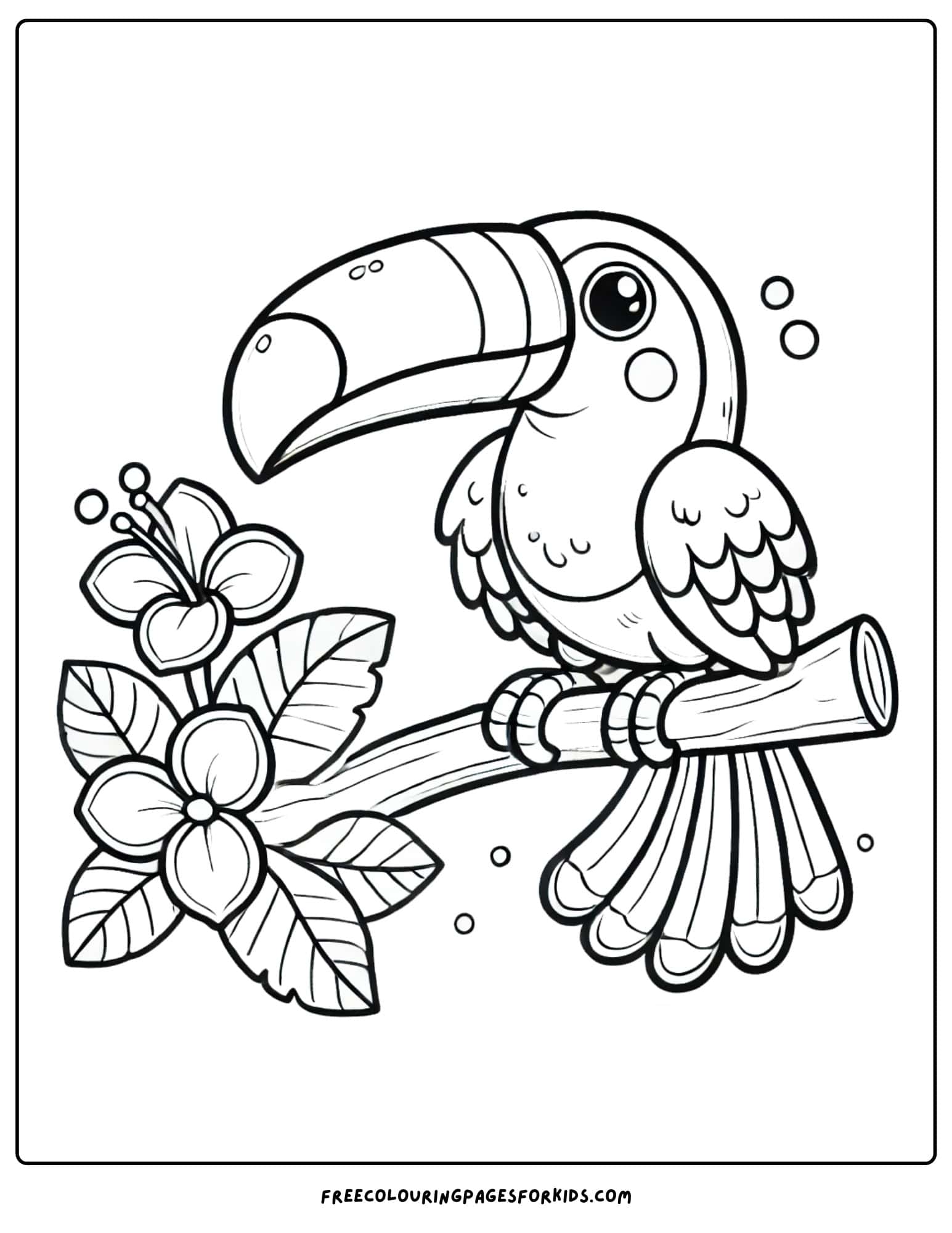 bird toucan sitting on a branch coloring page