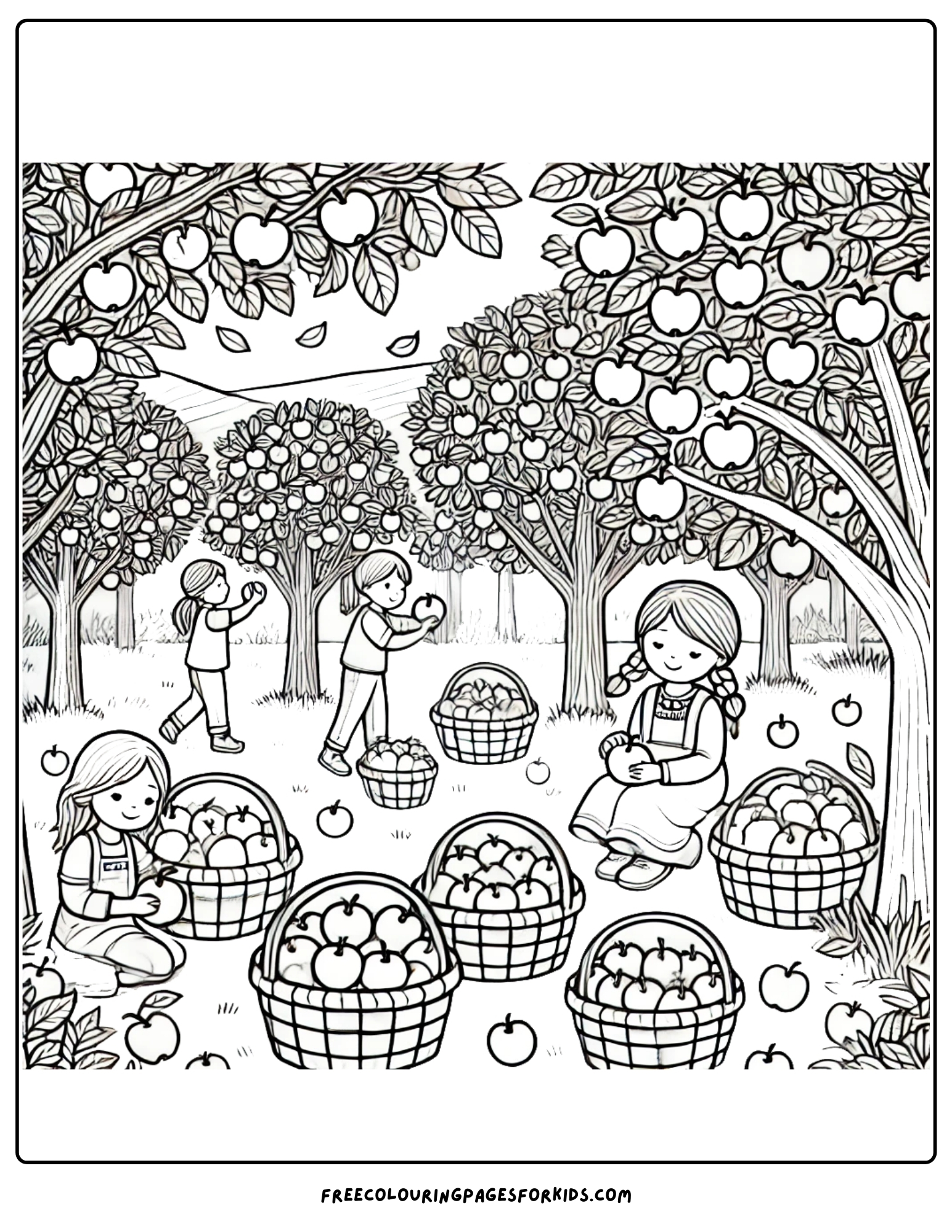 harvest apple orchard picking apples coloring page