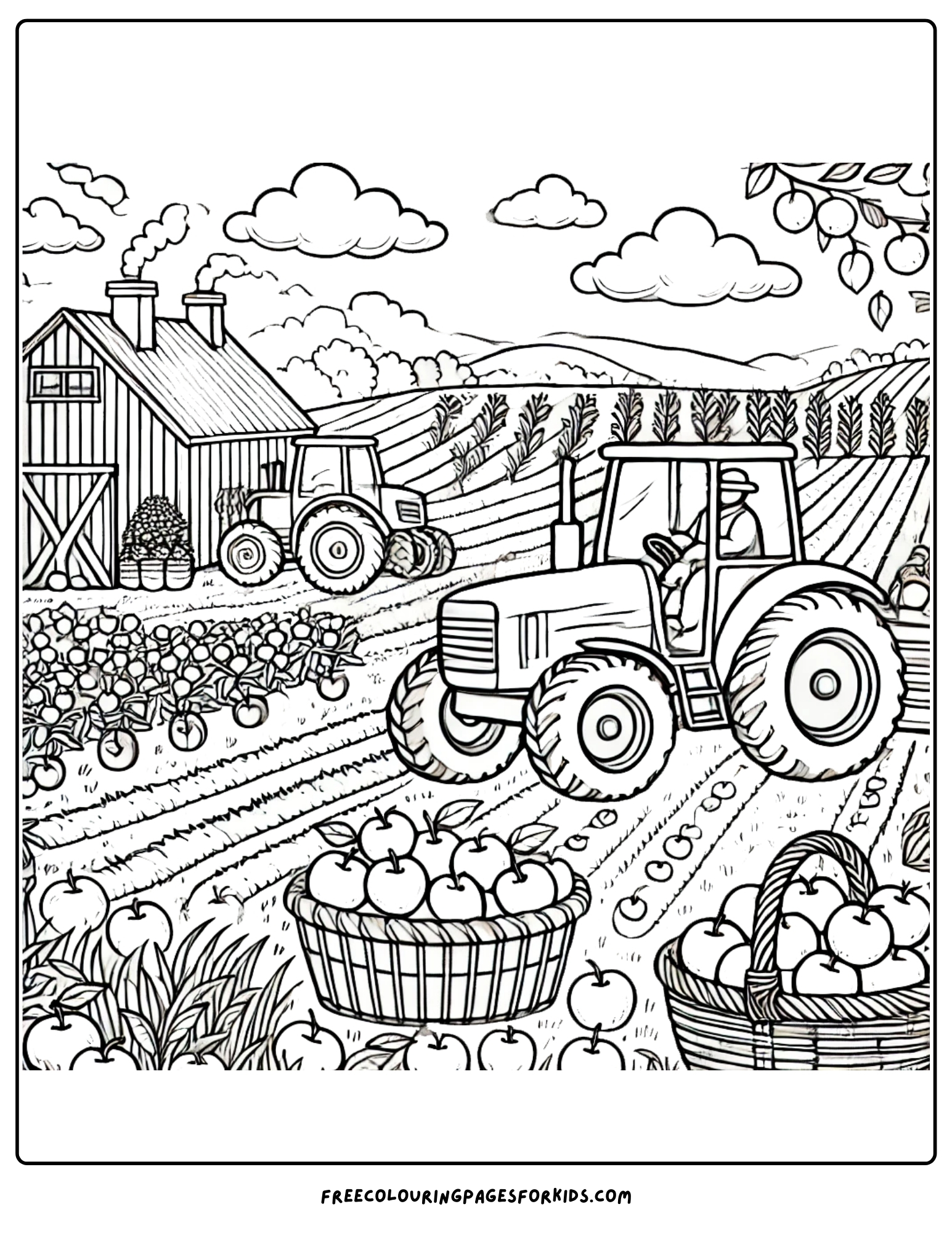 harvest tractor and apples in the field coloring page