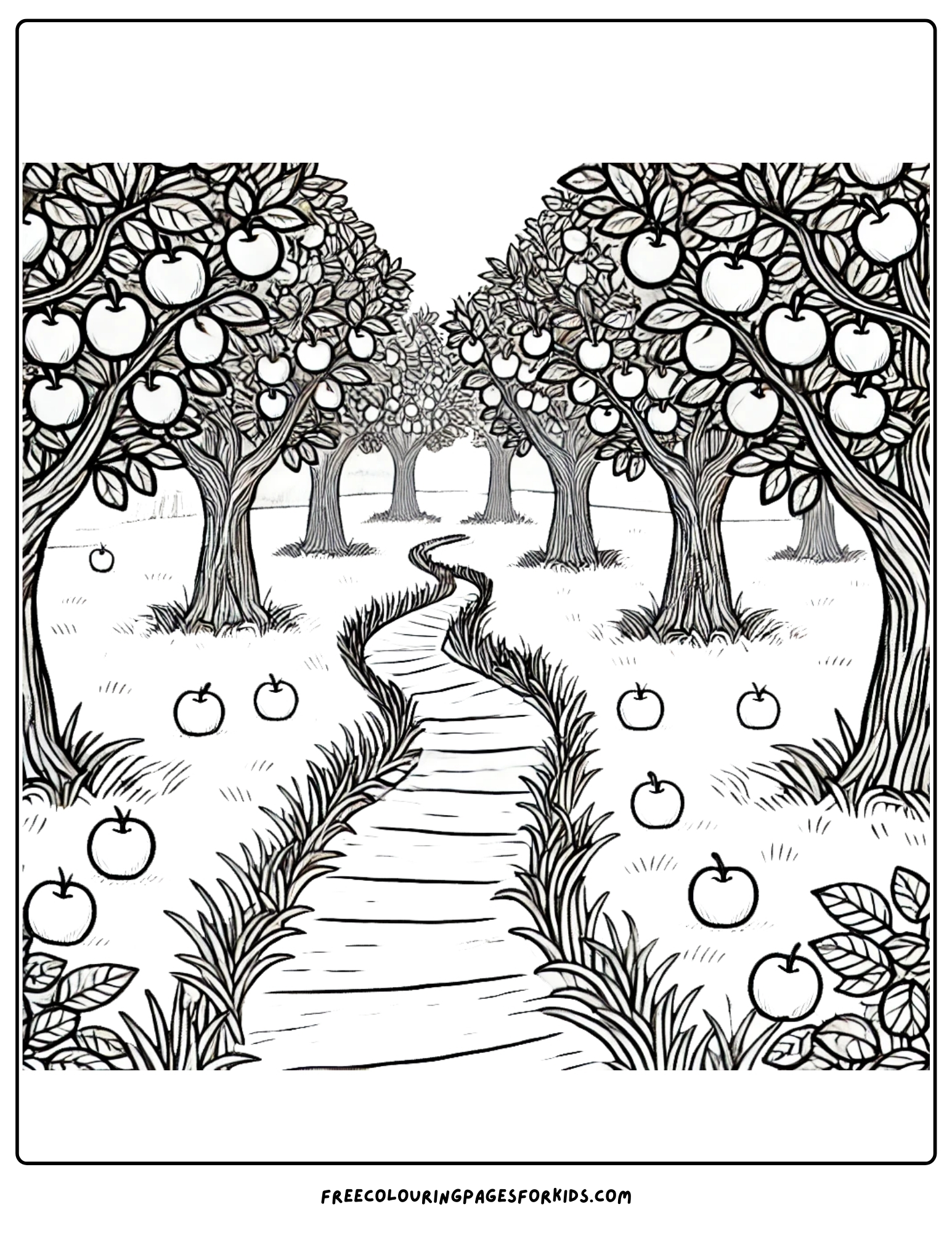 orchard path between the fruit trees coloring page