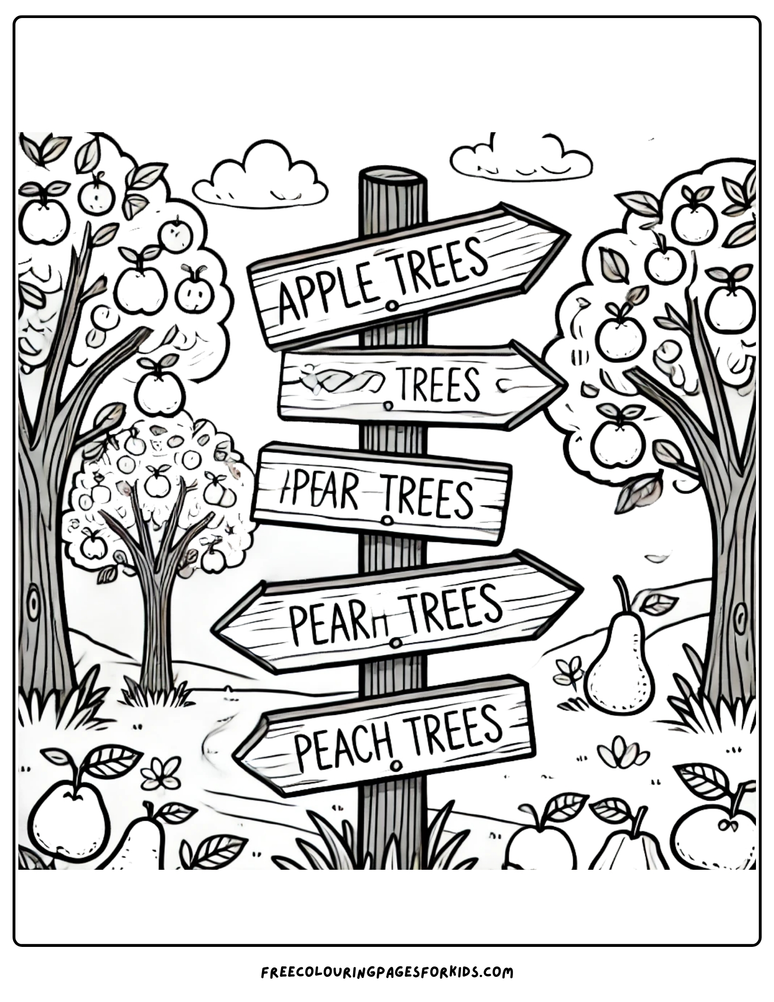 orchard signpost directing you to the types of trees coloring page