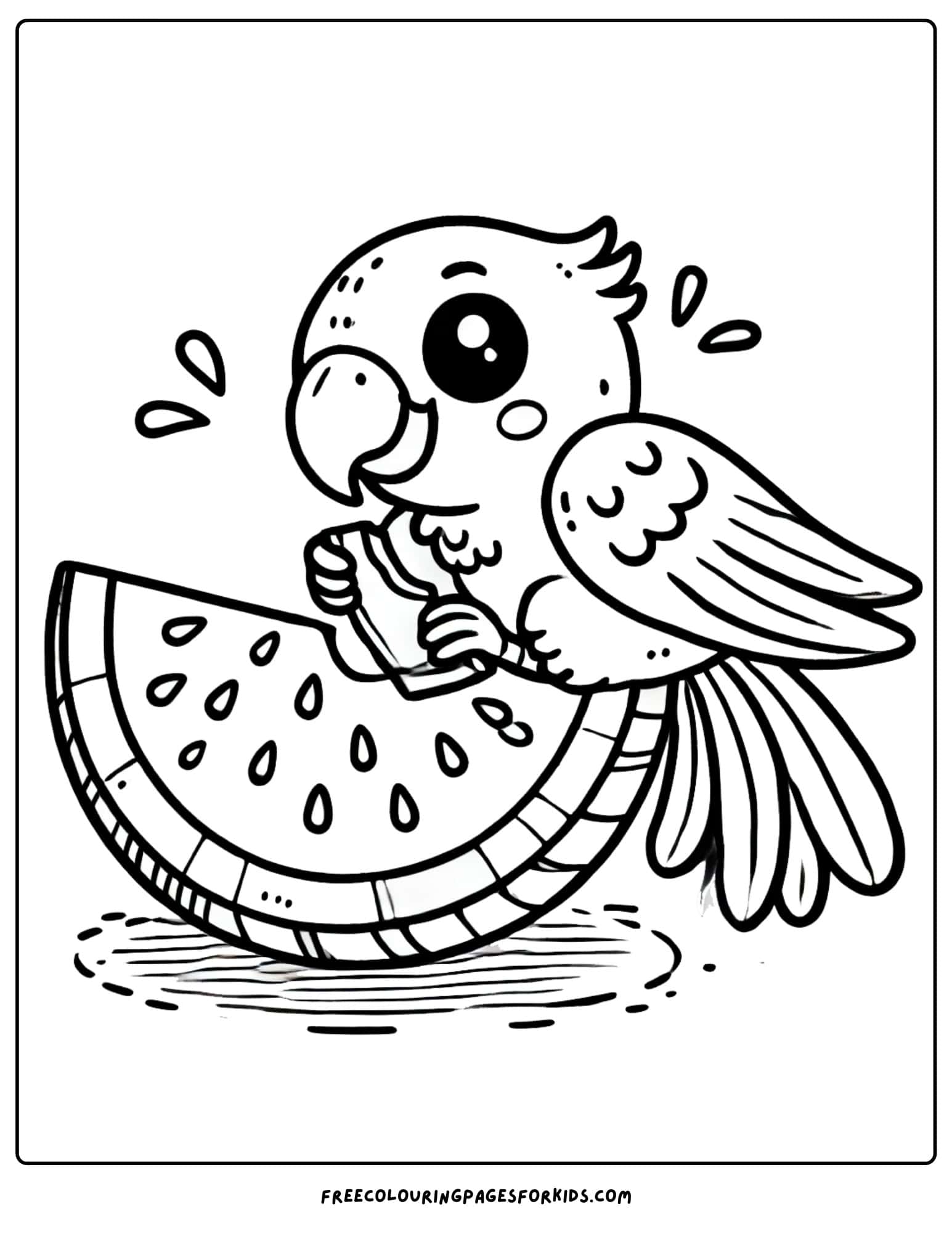 parrot eating watermelon coloring page