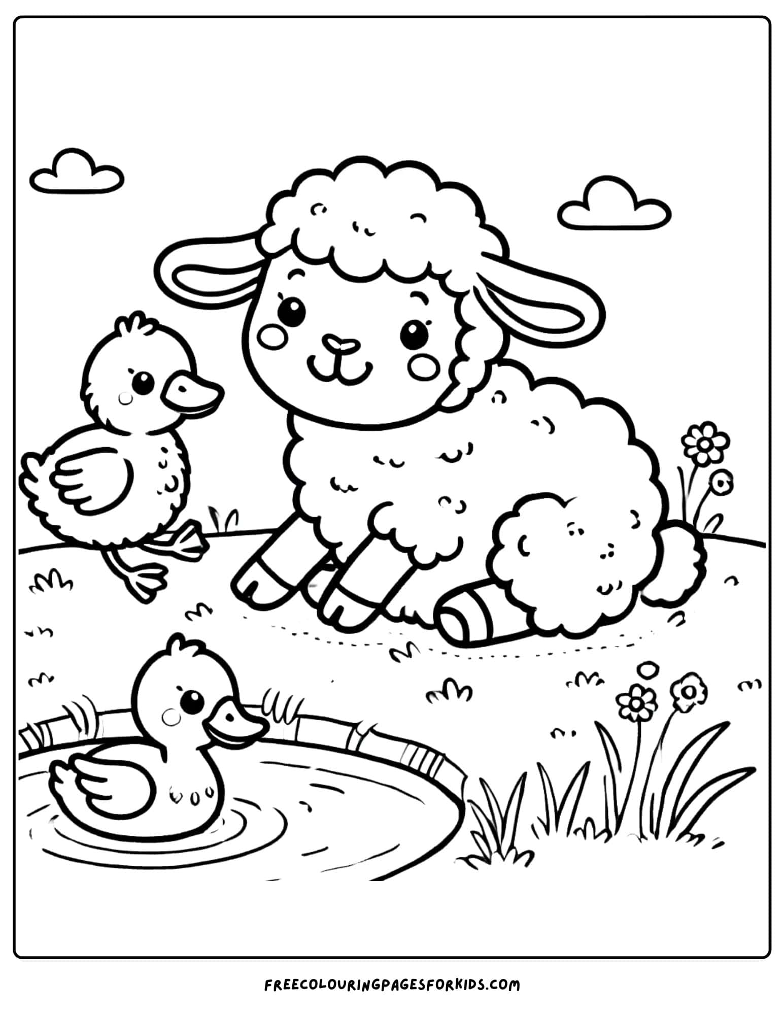 sheep with ducks coloring page