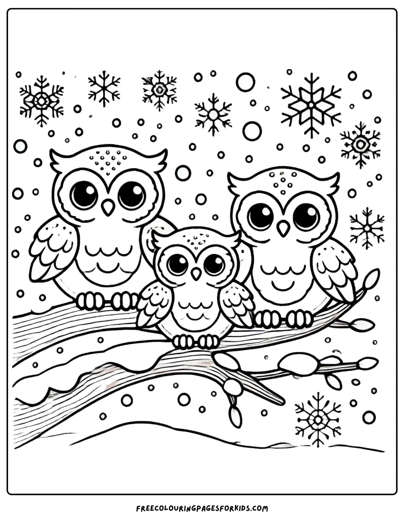 winter time owls on abranch coloring page