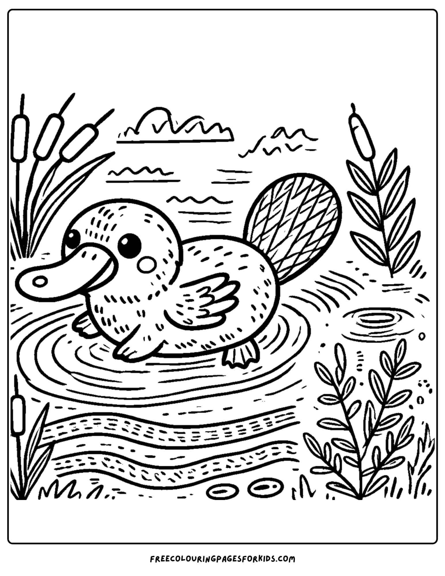 australia day platypus coloring page