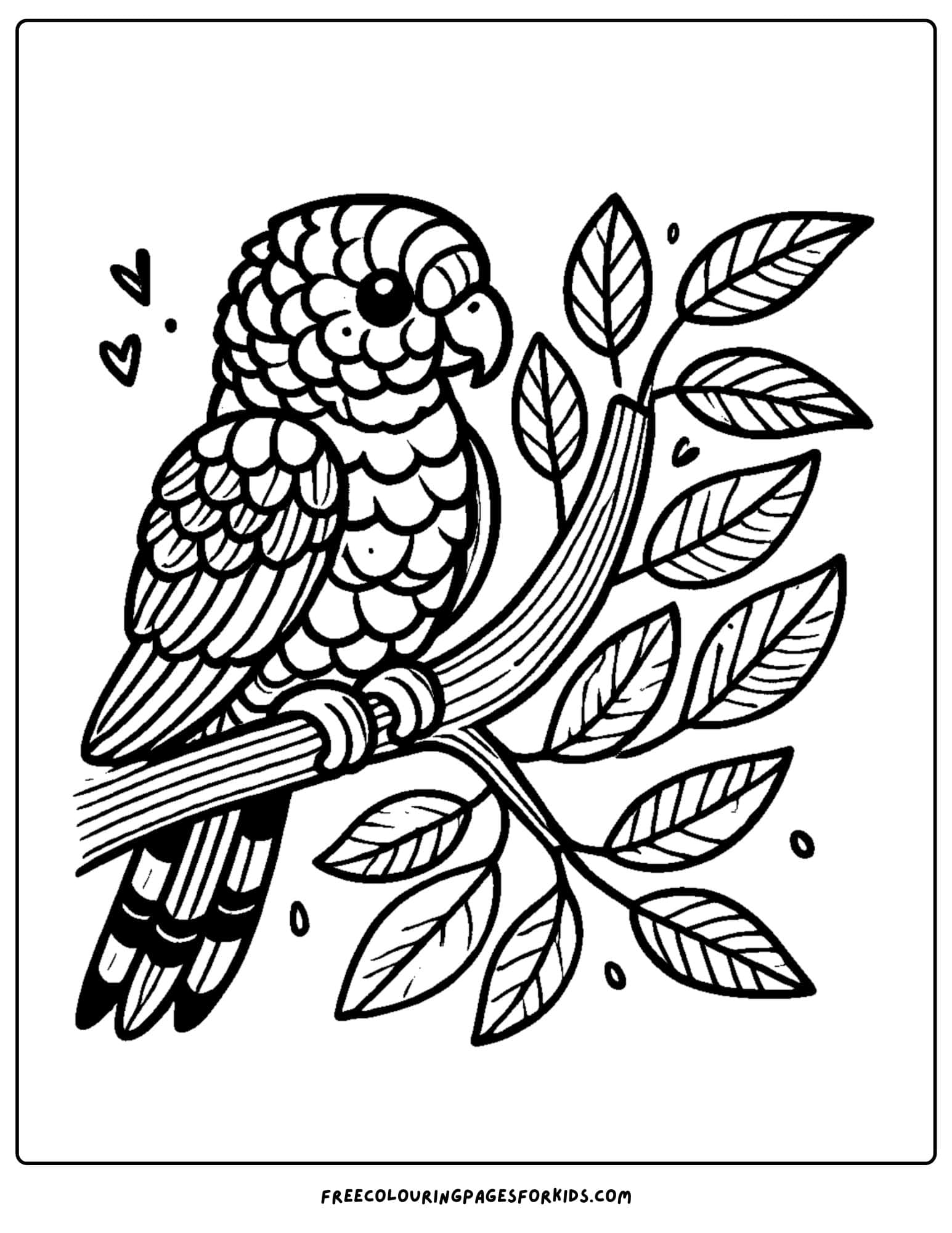 australia day rainbow lorikeet coloring page