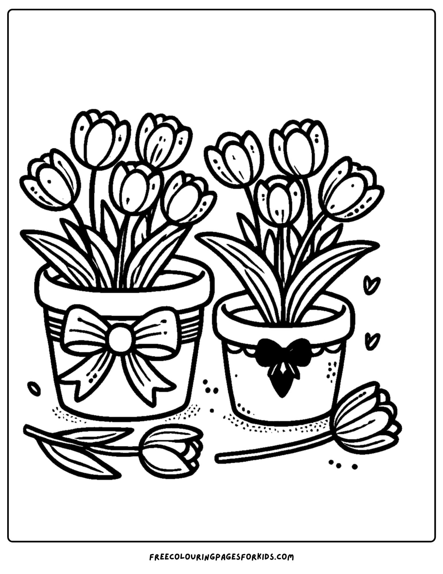 tulips growing in pots coloring page