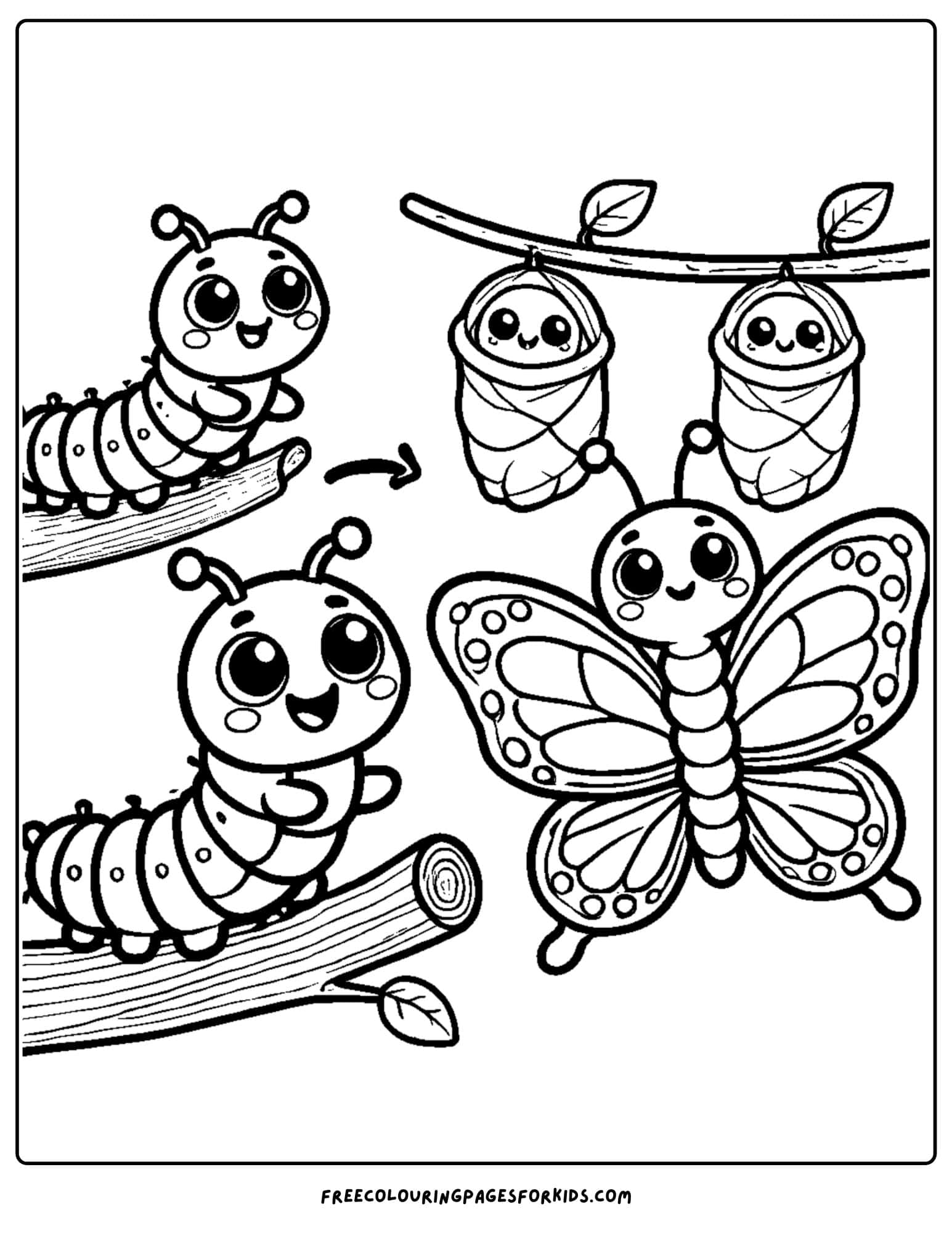 caterpillars becoming butterflies coloring page