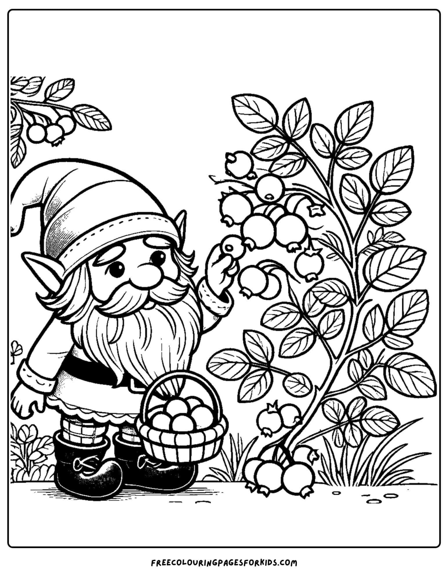 gnome picking berries coloring page