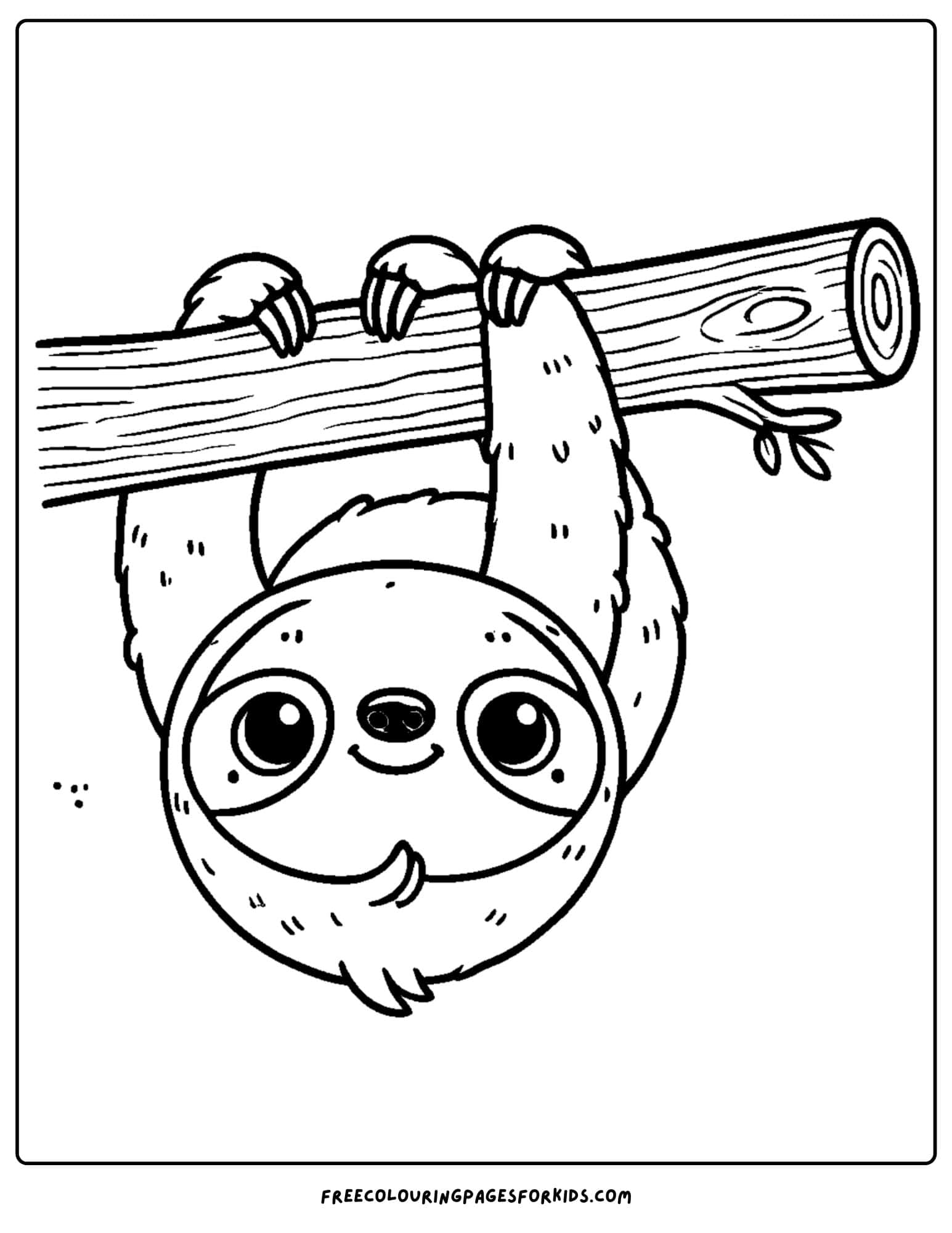 jungle sloth hanging on a branch coloring page