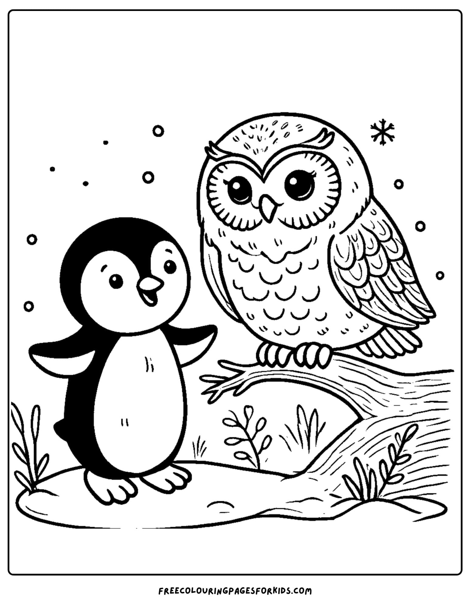 penguin looking at an owl coloring page