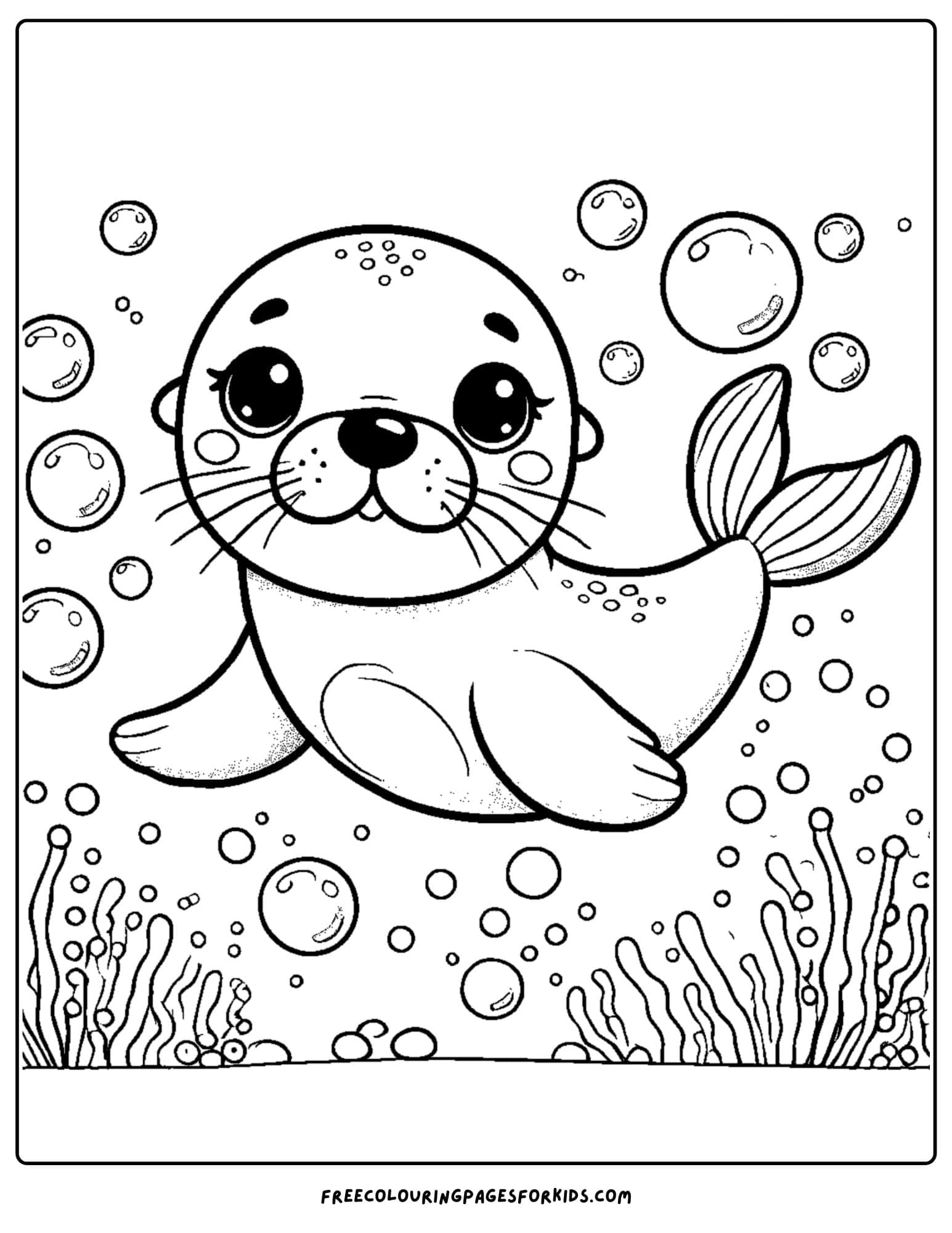 sea lion swimming underwater coloring page