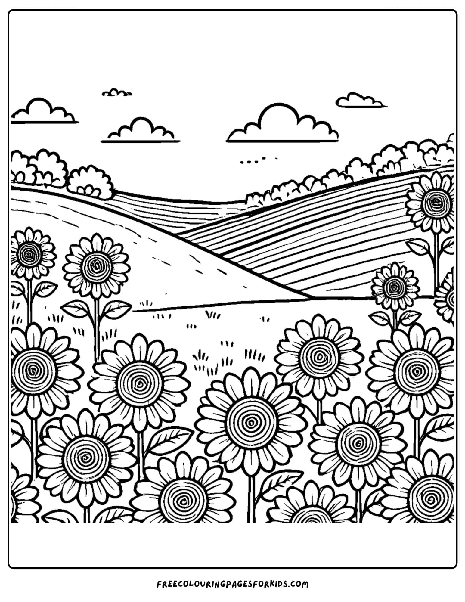 sunflower field coloring page