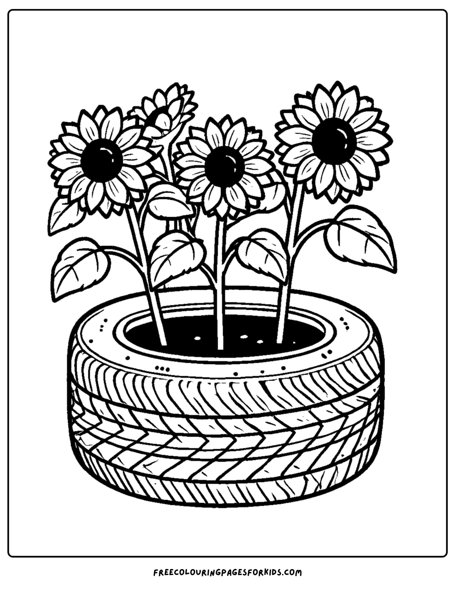 sunflowers growing in an old tire planter coloring page