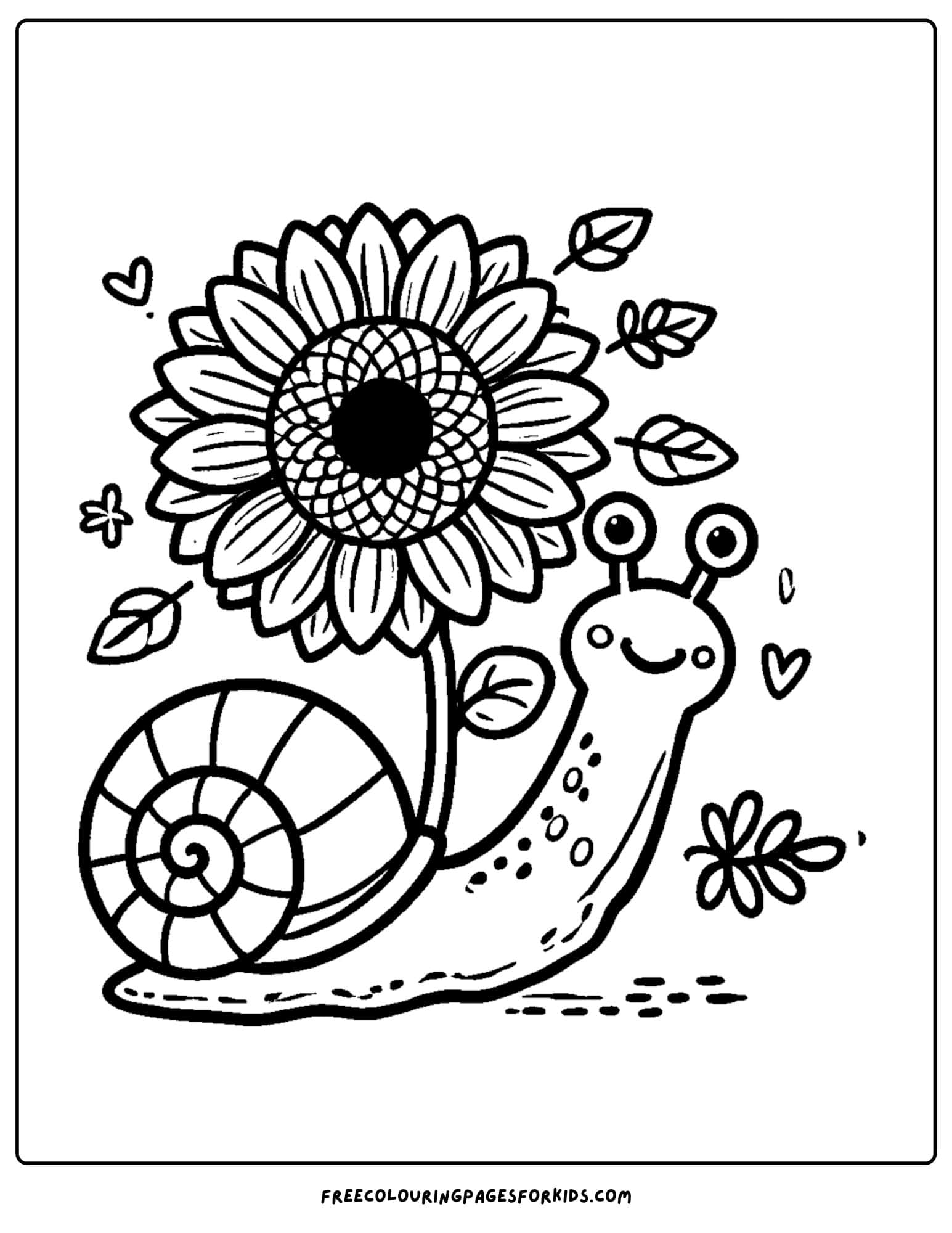 sunflower and a snail coloring page