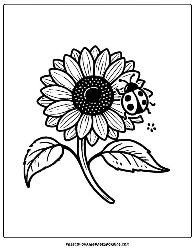 30 Sunflower Coloring Pages