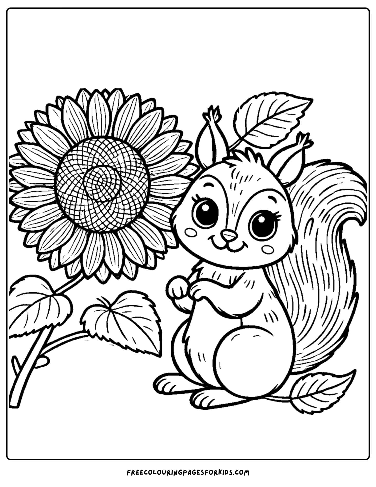 sunflower and a playful squirrel coloring page