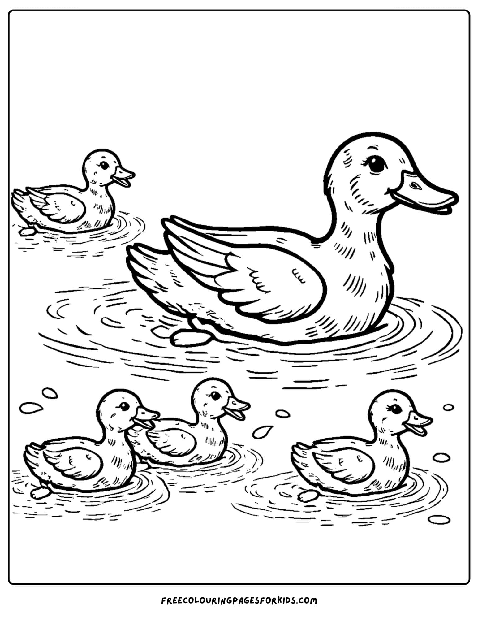 ducks swimming in the lake coloring page