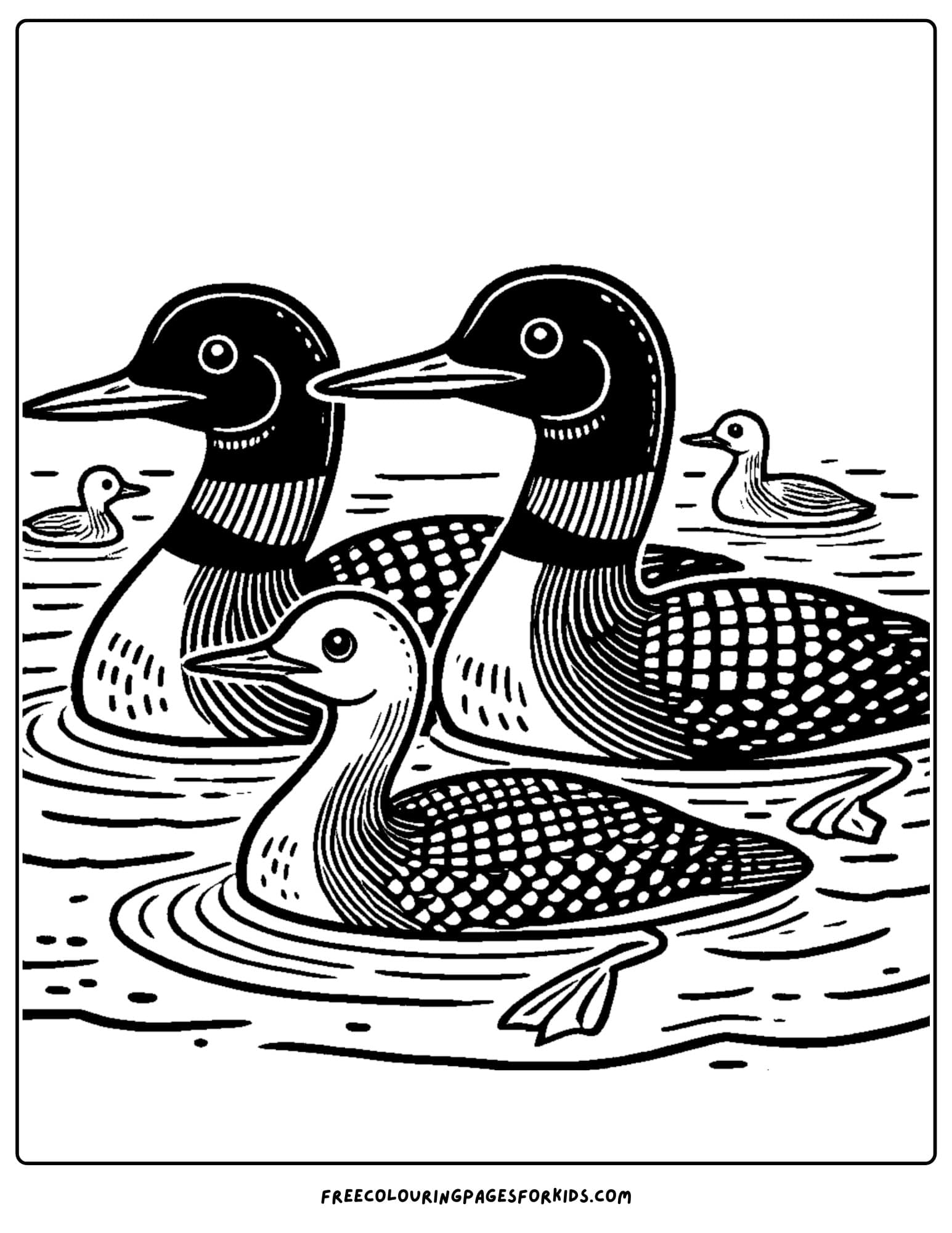 loon family on the lake coloring page