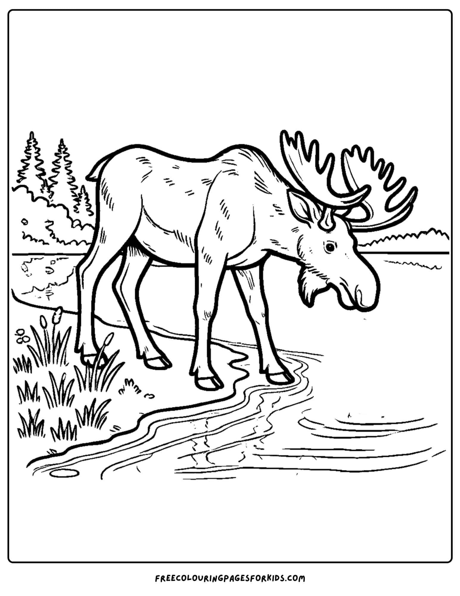 moose drinking from the lake coloring page