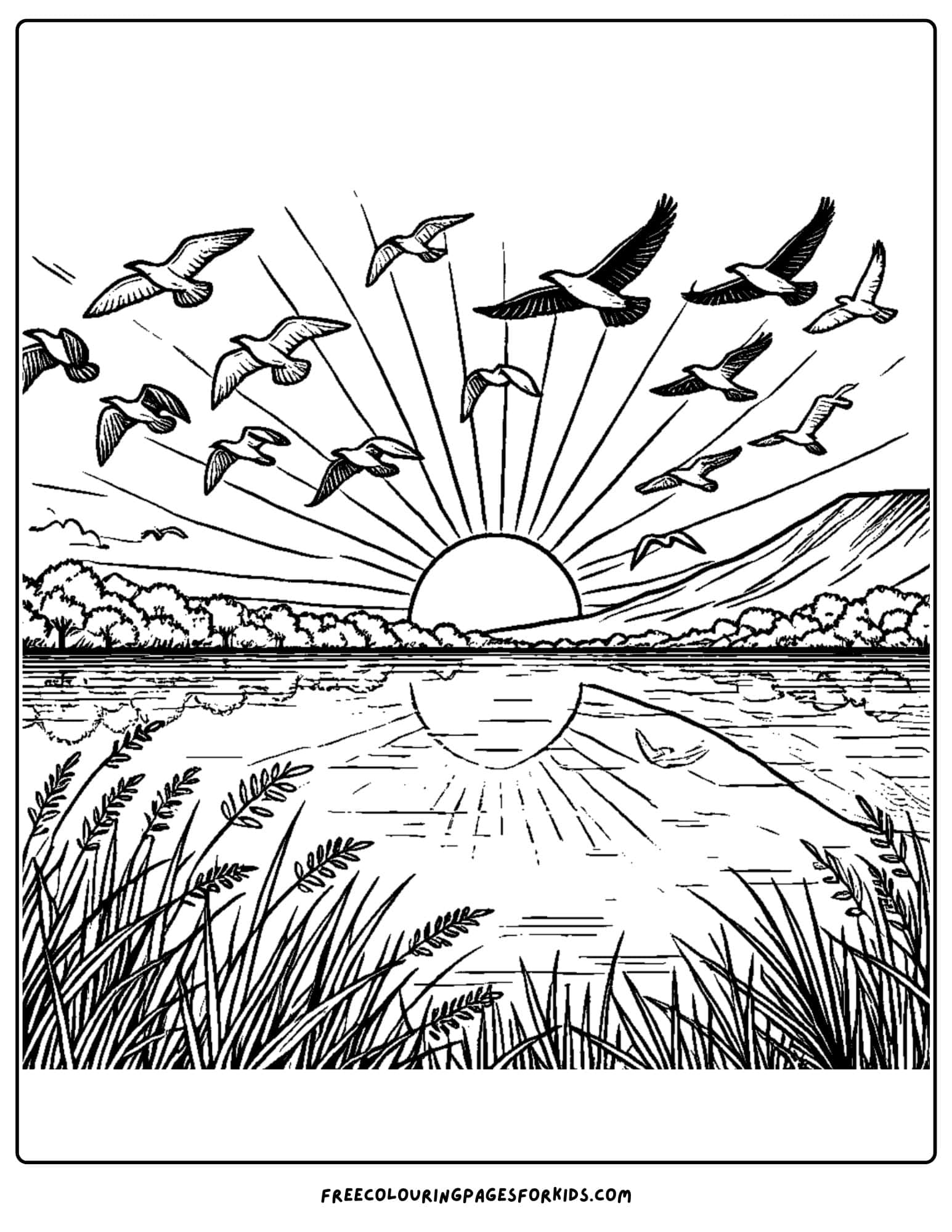 birds flying over a lake at sunrise coloring page