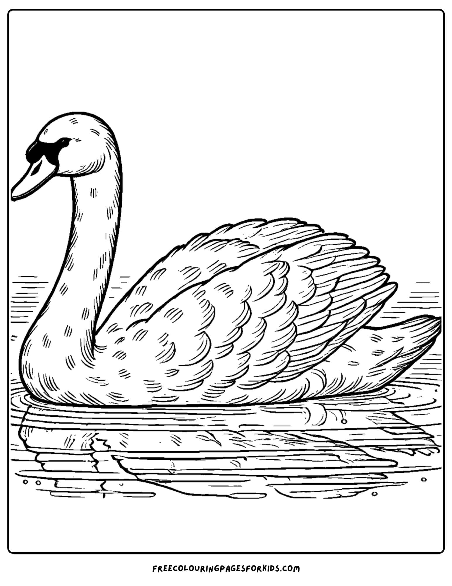 a swan on a lake coloring page