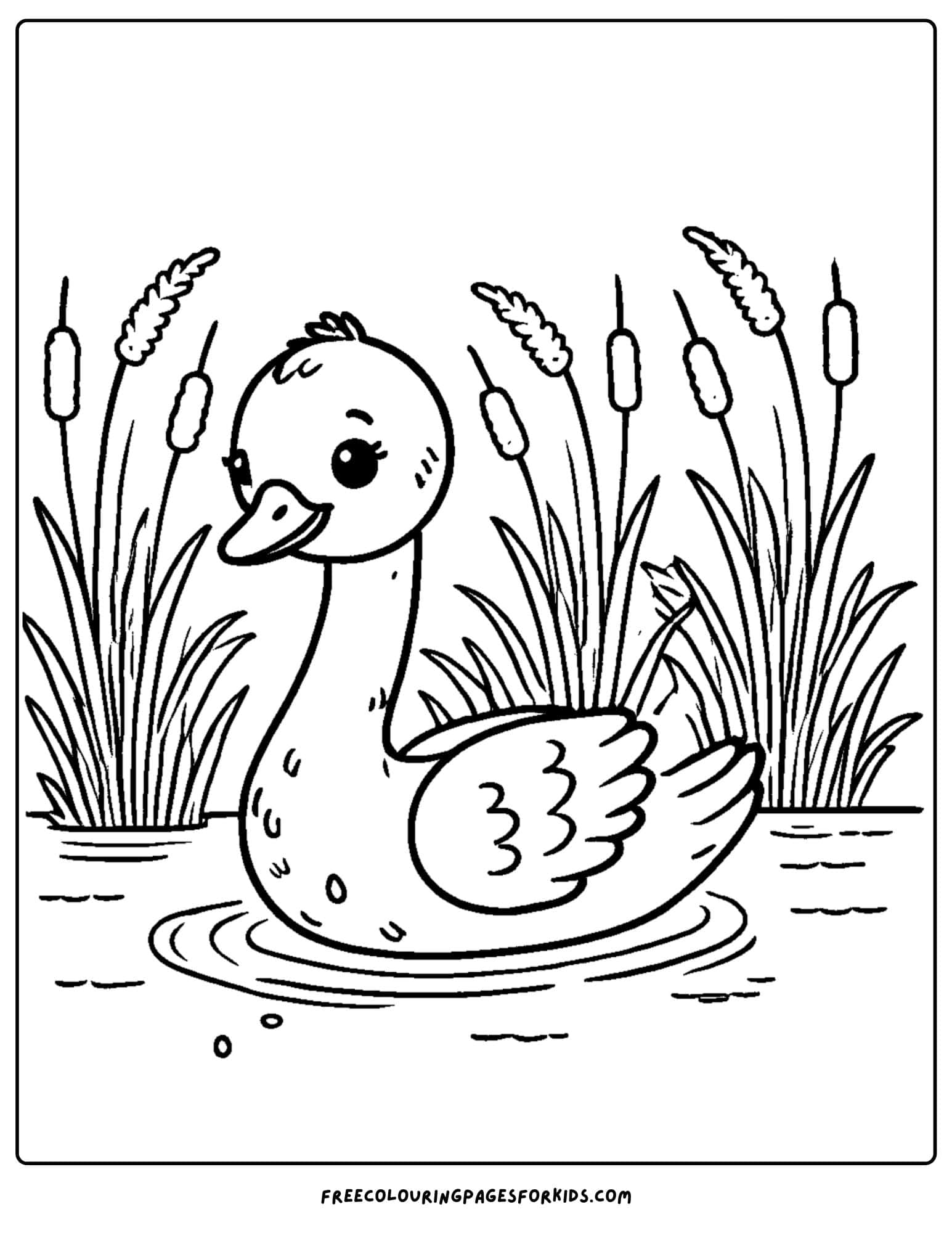 swan gliding through the water with reeds around coloring page