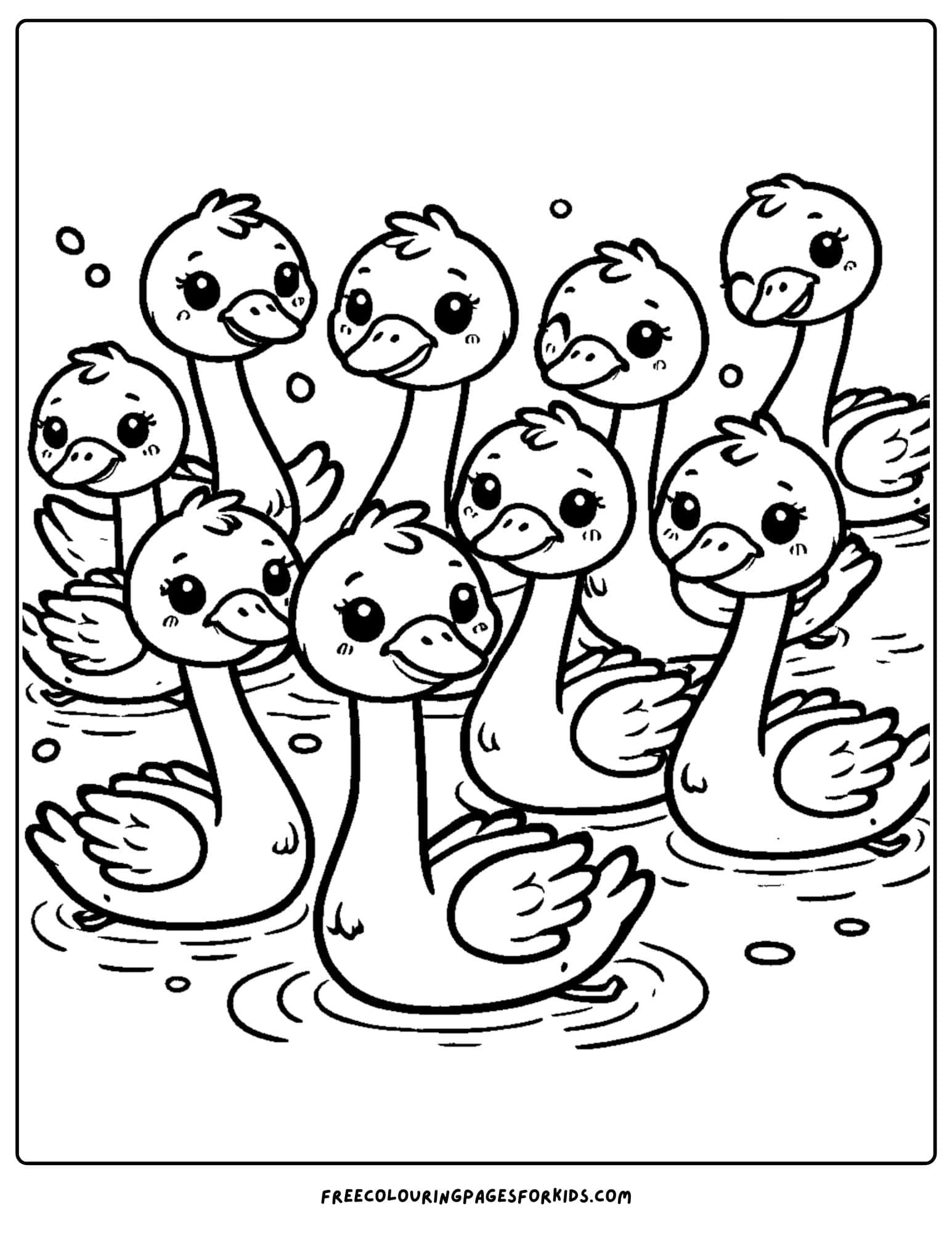 swan group swimming on the water coloring page