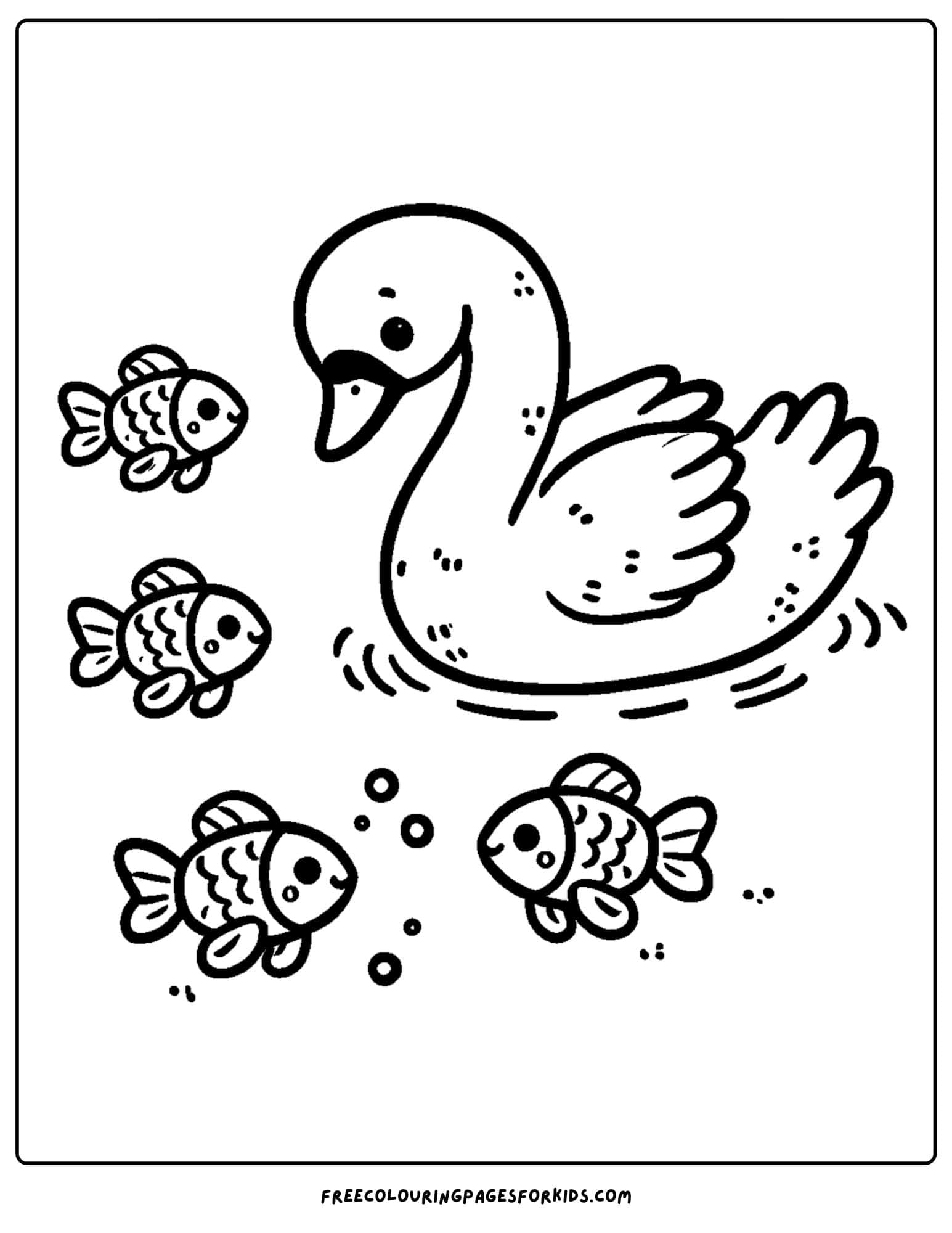 swan swimming with fish around coloring page