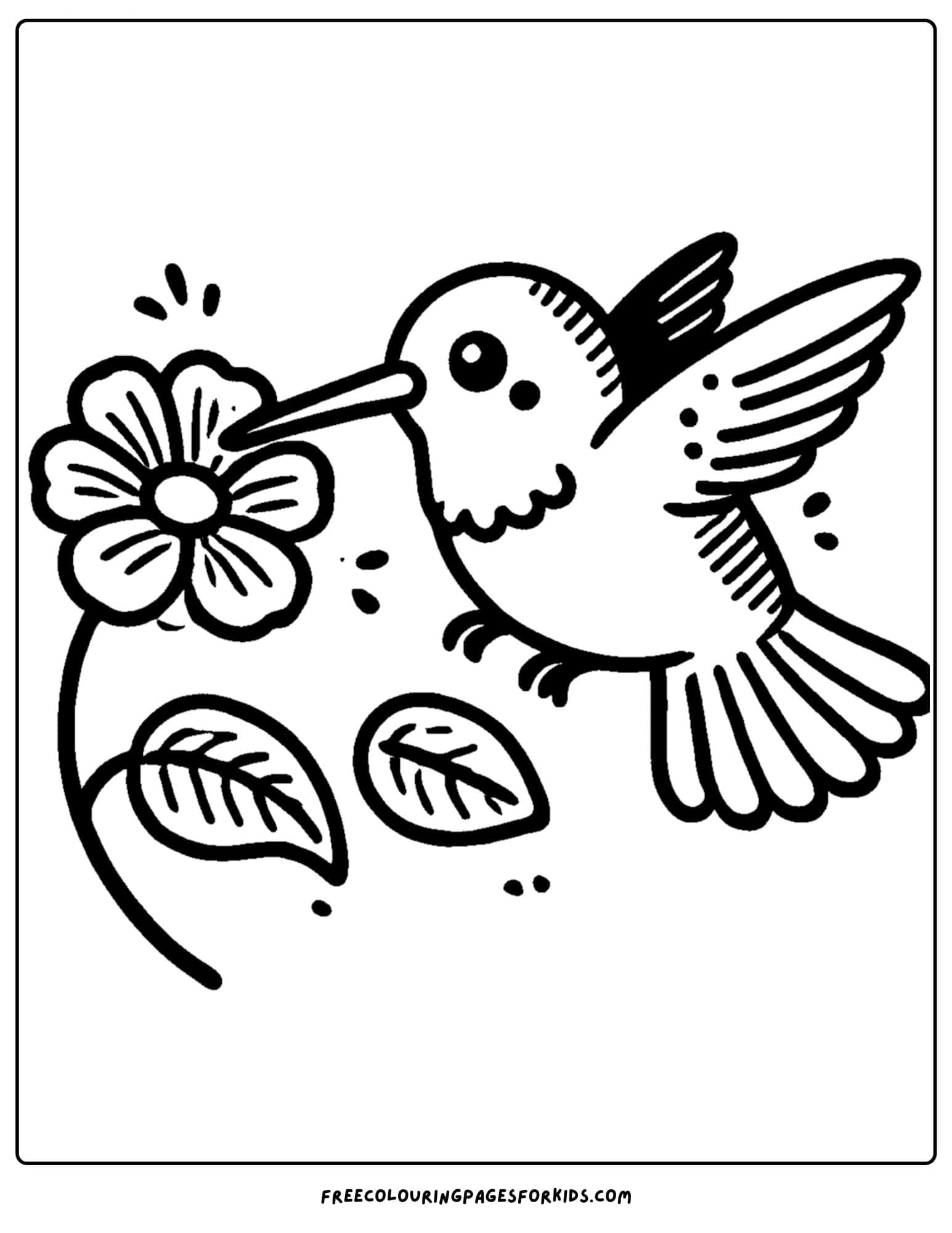 zoo animal coloring page of a hummingbird