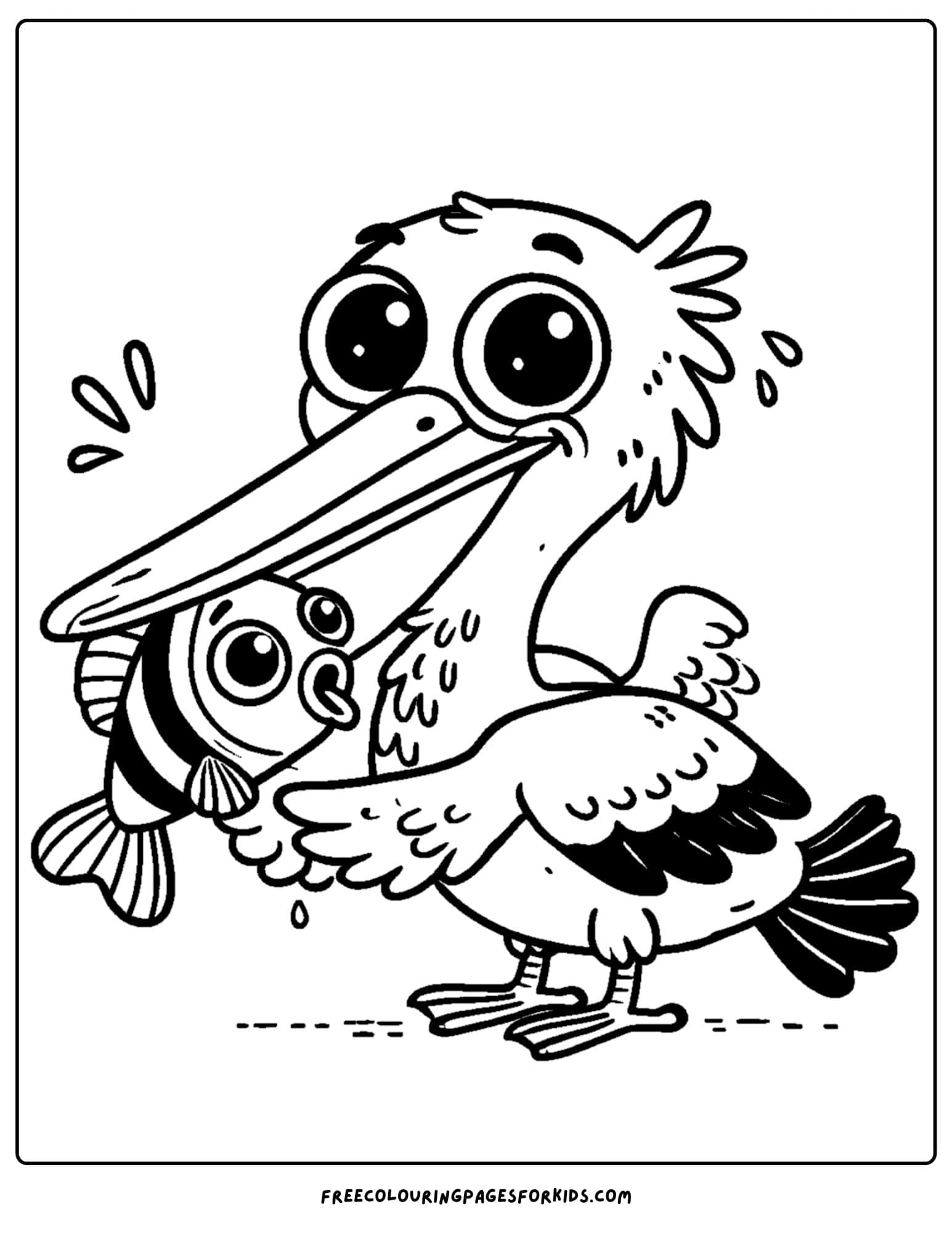 zoo animal coloring page pf a pelican eating a fish