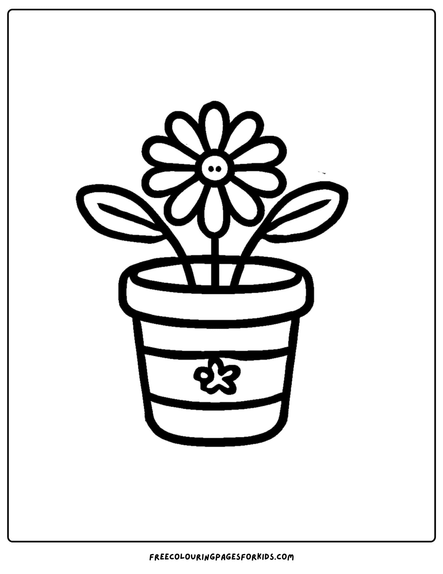 a daisy in a pot