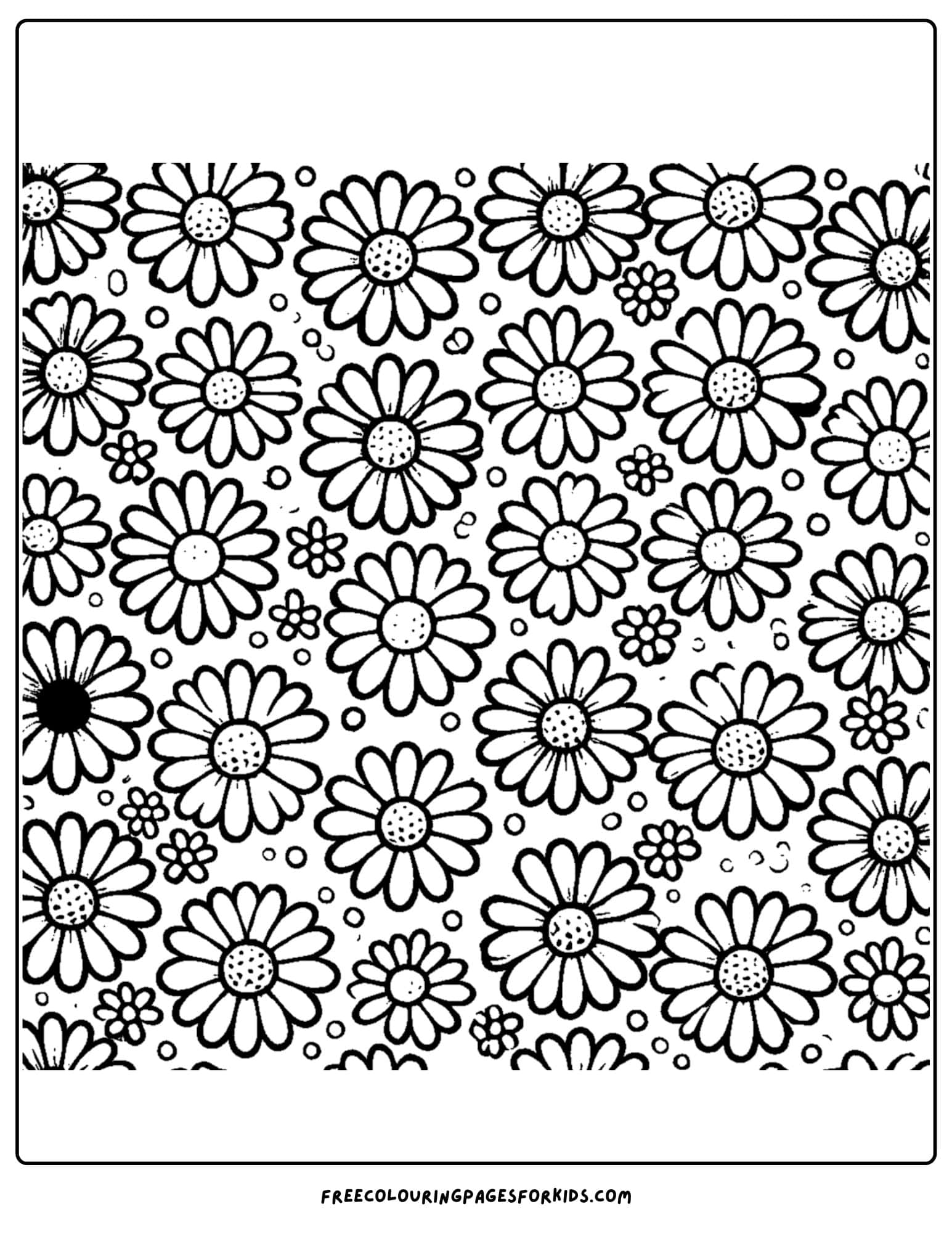 a pattern of daisy flowers