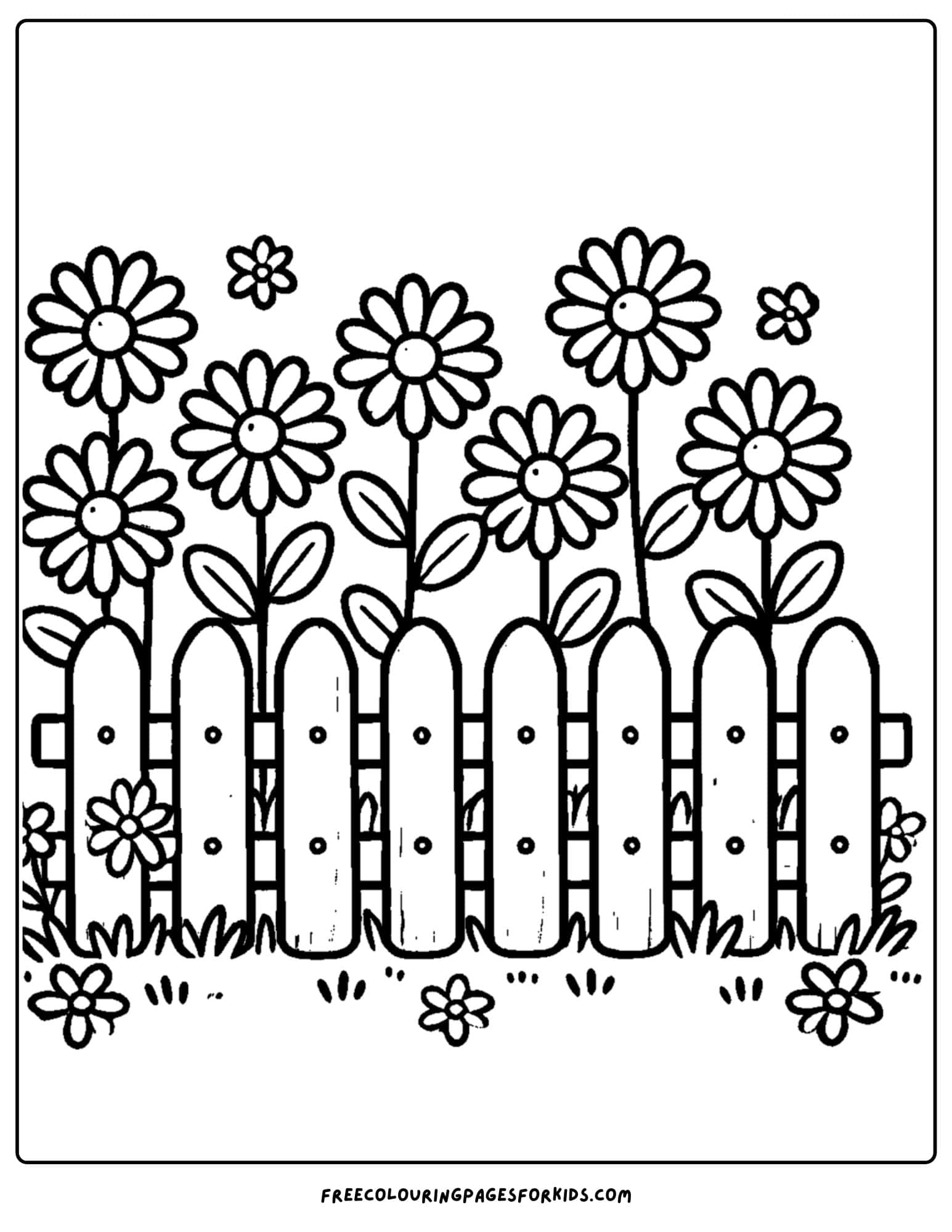 daisies growing behind a fence